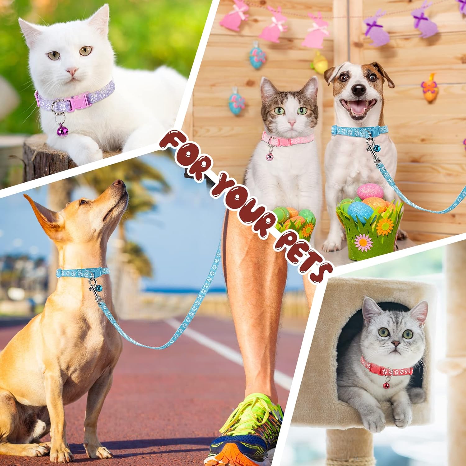 Amylove 48 Pcs Dog Collar and Leash Set, Polypropylene Adjustable Puppy Collars for Medium Dogs Small Pet Puppy Walking Training with Hook and Buckle(Multicolor,Paws Pattern) - Image 6