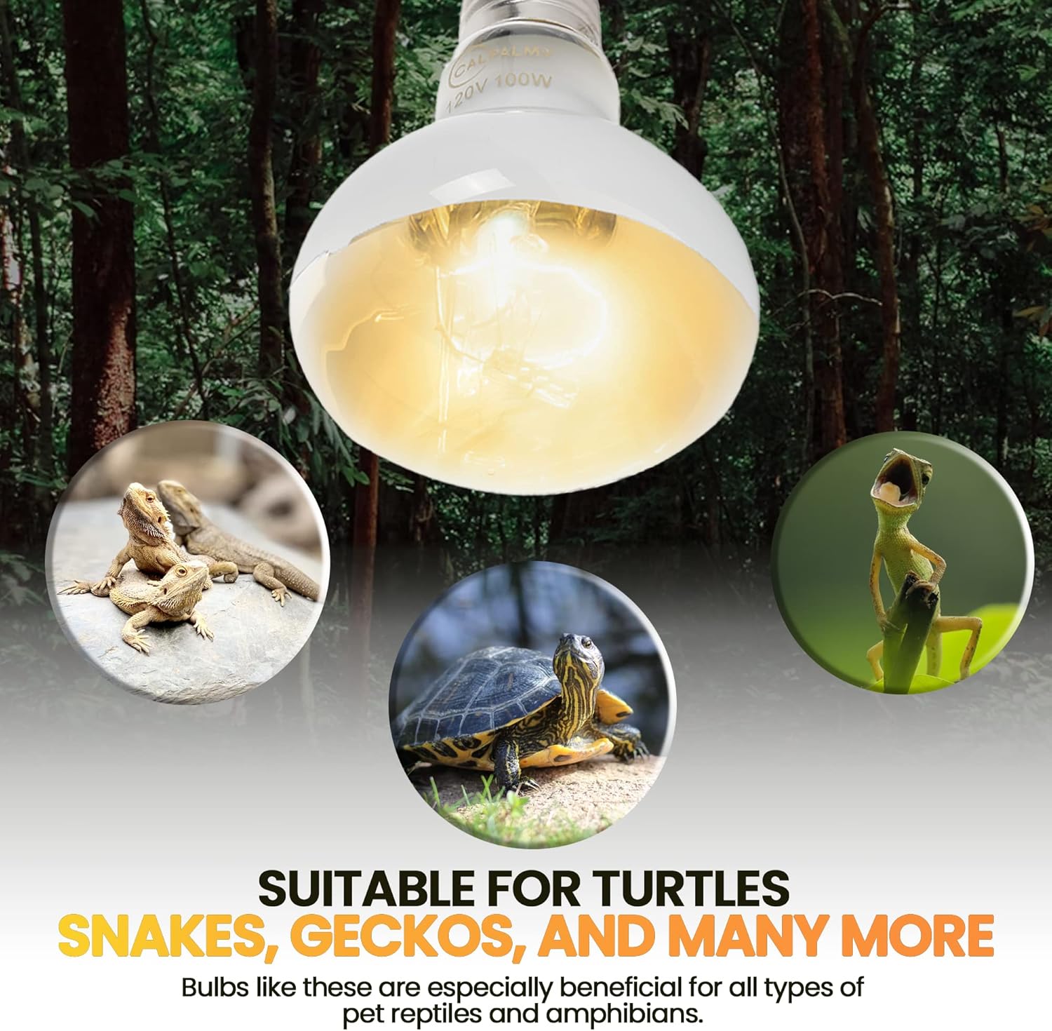 (4-Pack 100W Reptile Heat Lamp Bulbs - UVA Daylight Basking Light Bulbs for Reptiles, Turtles, Lizard, Bearded Dragon and Amphibians - 120V R80 Reflector Bulbs with E26 Screw Cap Base - Image 5