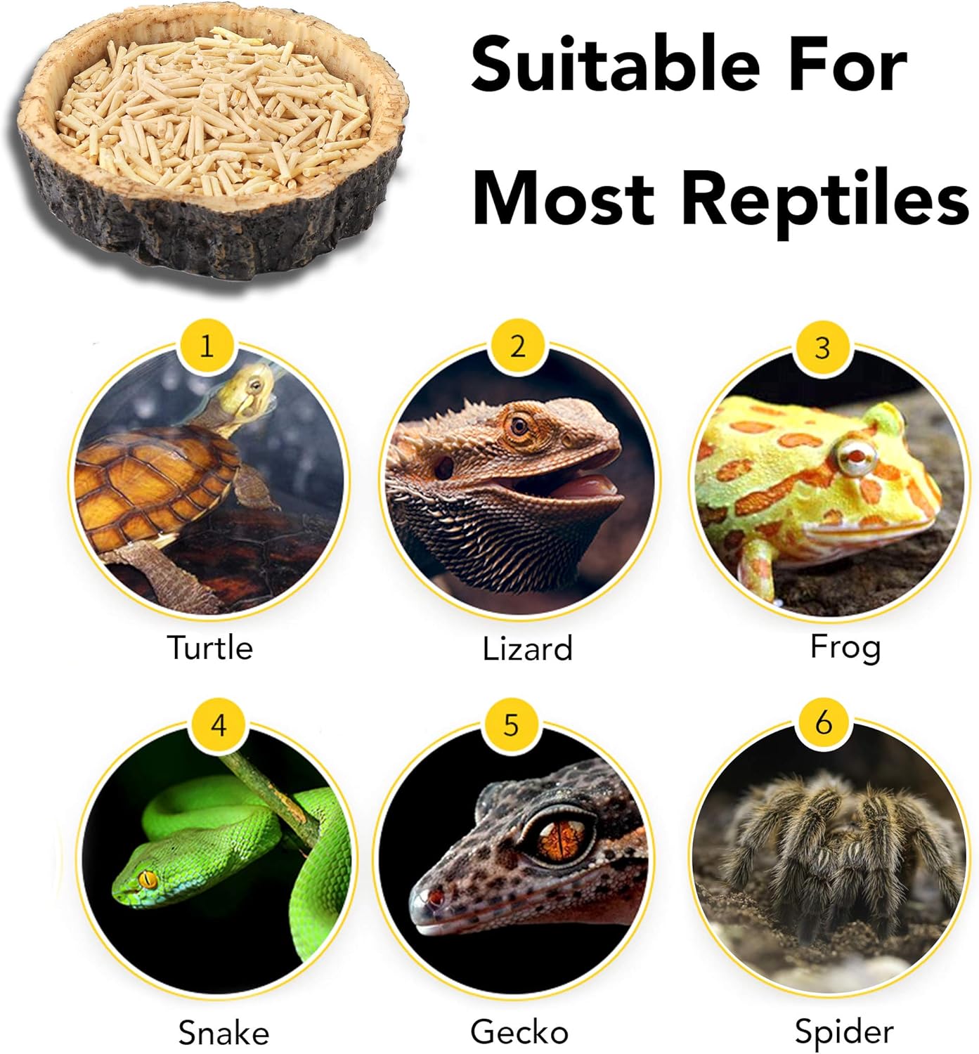 (4-Pack) Reptile Bowls and 100W UVA Heat Lamp Bulbs, (2-Pack) Water and Food Bowls and 4-Pack Reptile Heat Lamp Bulbs - Image 5