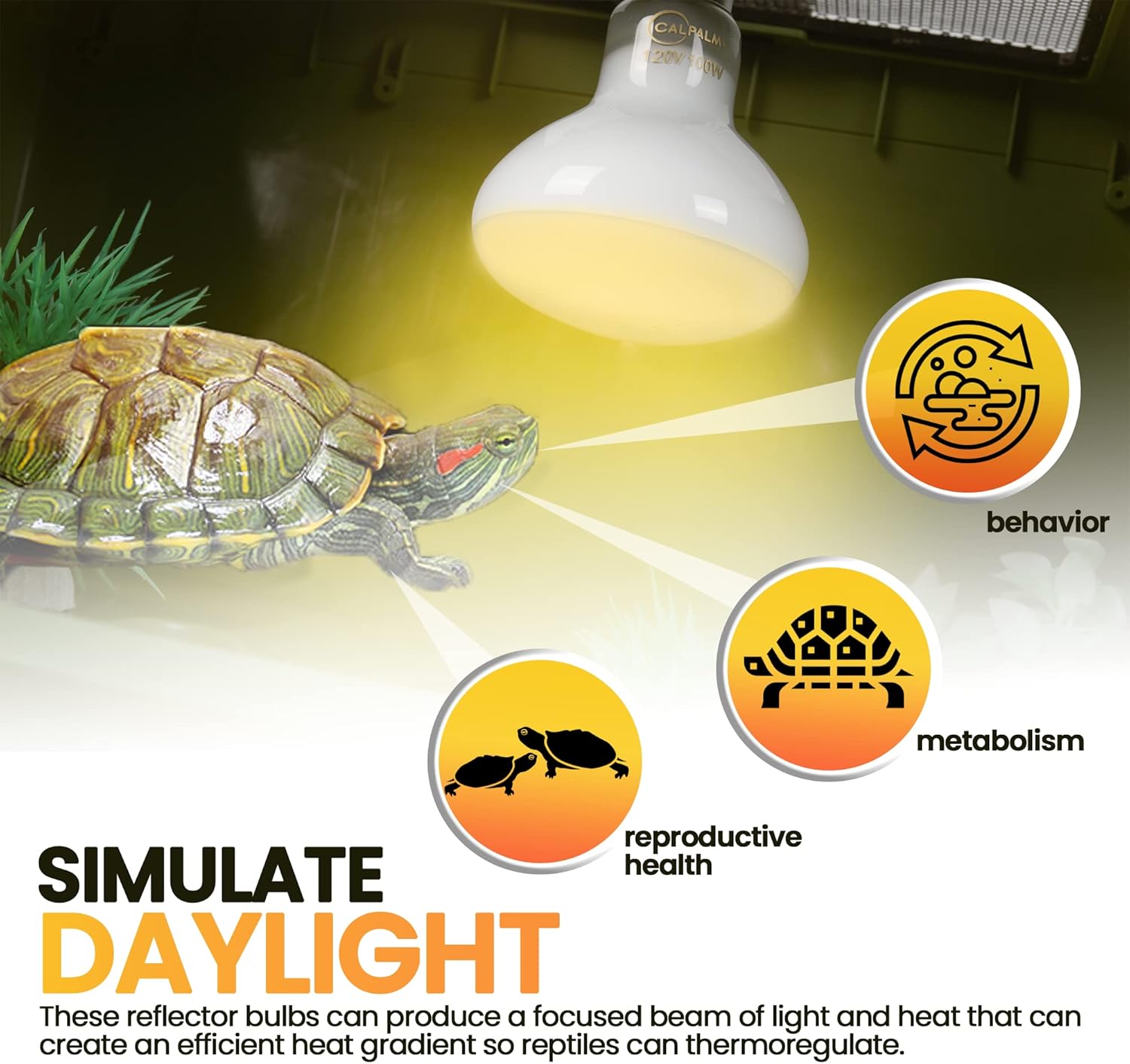 (4-Pack) Reptile Bowls and 100W UVA Heat Lamp Bulbs, (2-Pack) Water and Food Bowls and 4-Pack Reptile Heat Lamp Bulbs - Image 8