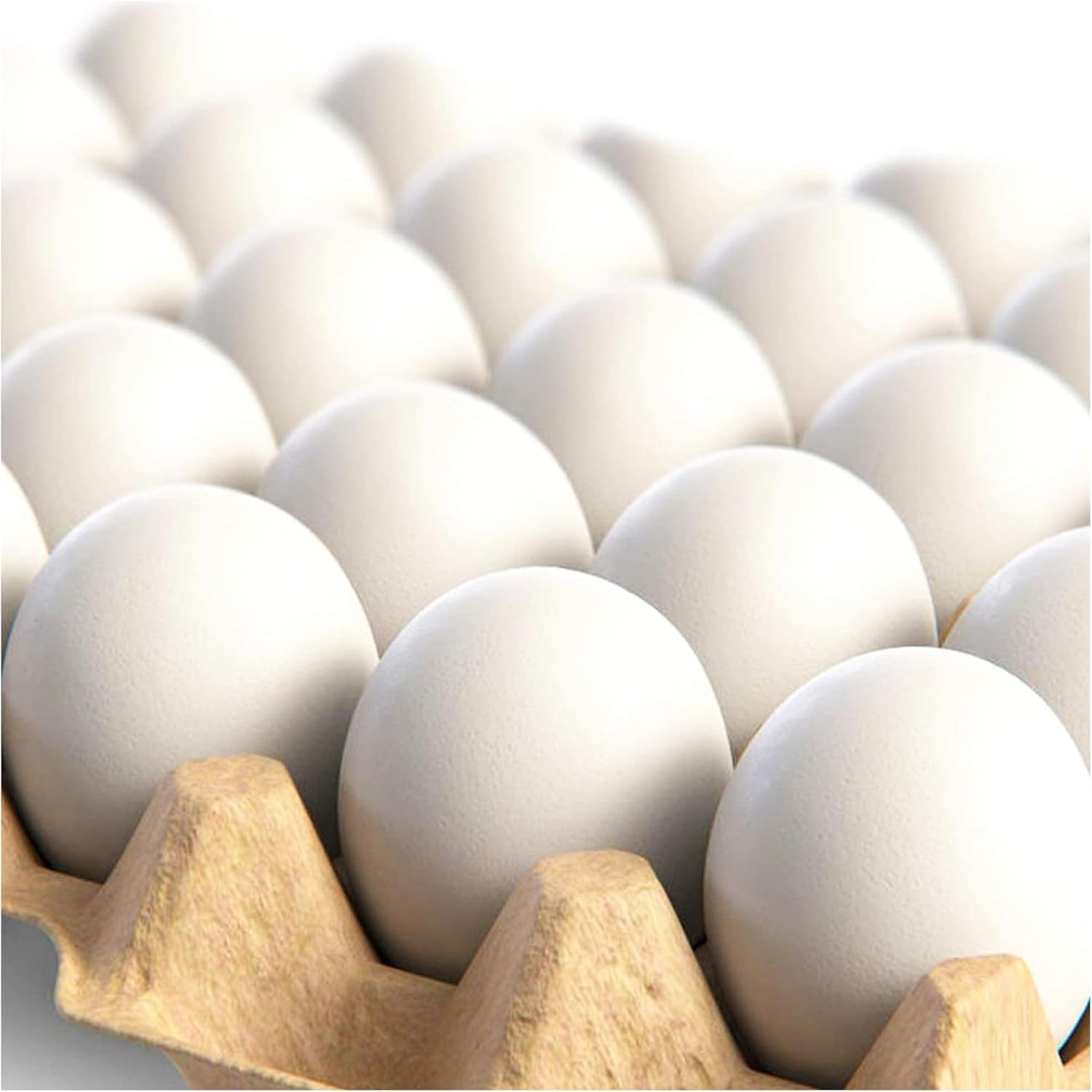Pink Heat Gun for Crafts and (24-Pack) Hyper-Realistic White Wooden Eggs for Painting - Image 6