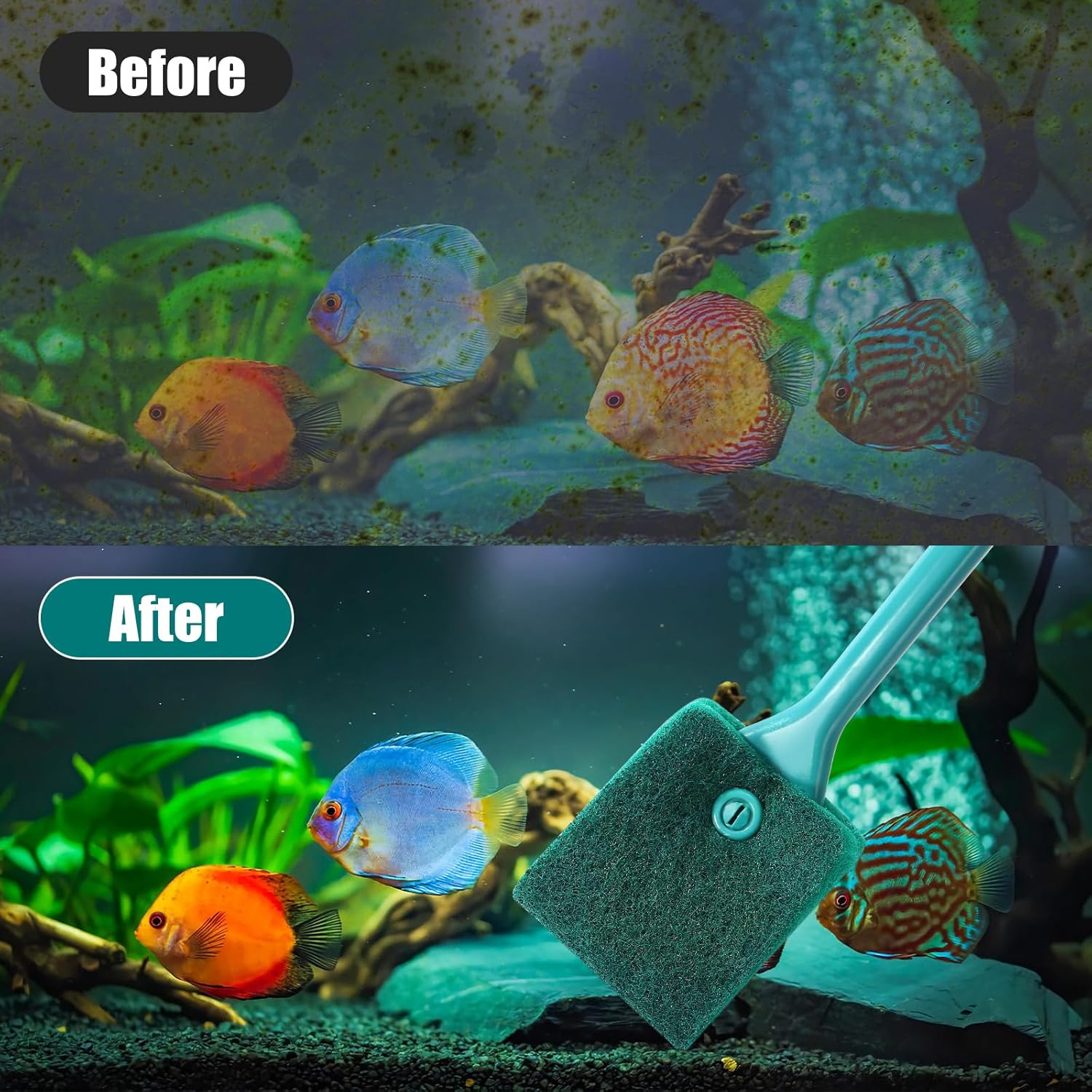 Fish Tank Cleaning Tools, Aquarium Double Sided Sponge Brh, Algae Scraper Cleaner with Long Handle - Image 5