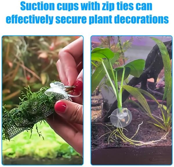 20 Pack Aquarium Suction Cups with Clips 3/16