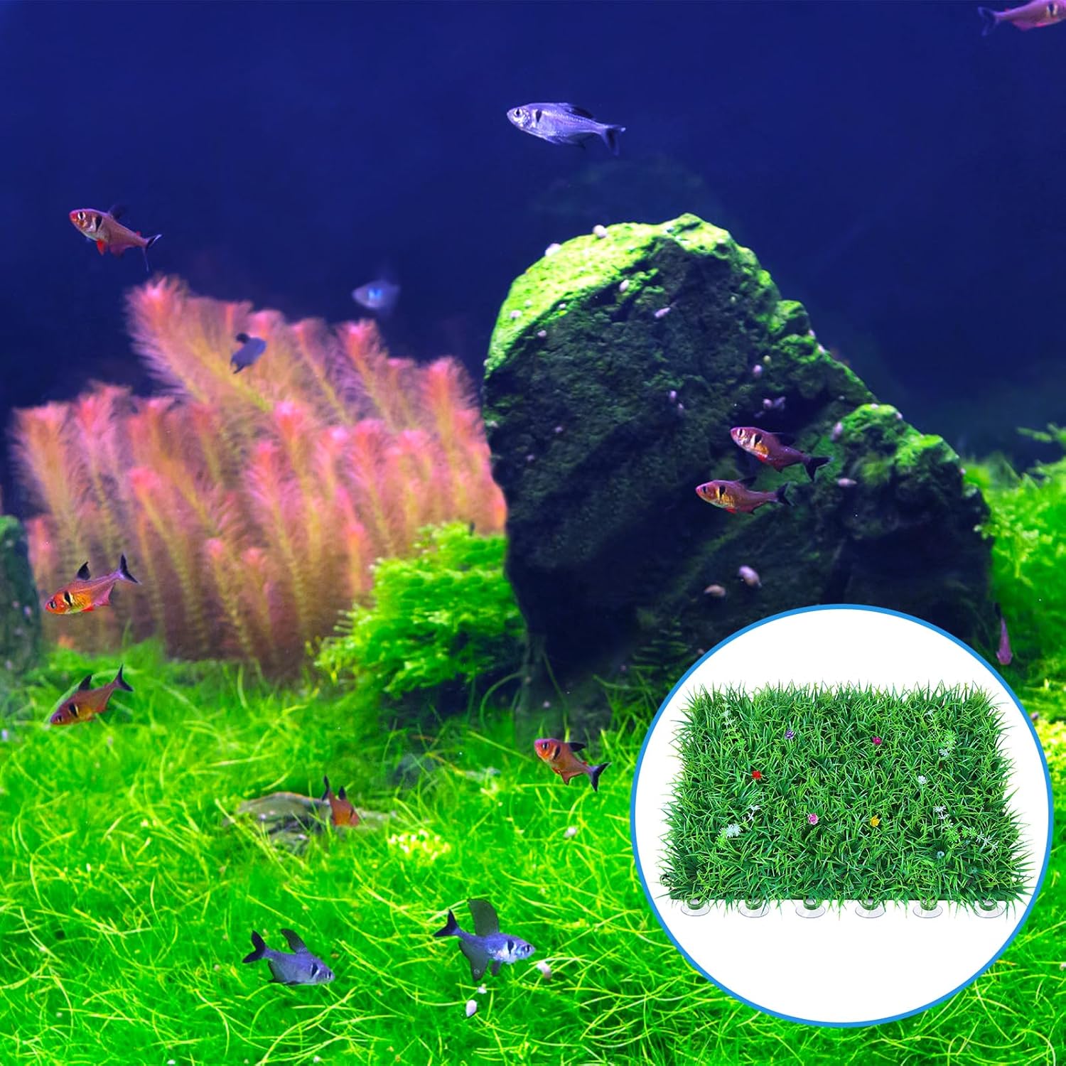 20 Pack Aquarium Suction Cups with Clips 3/16