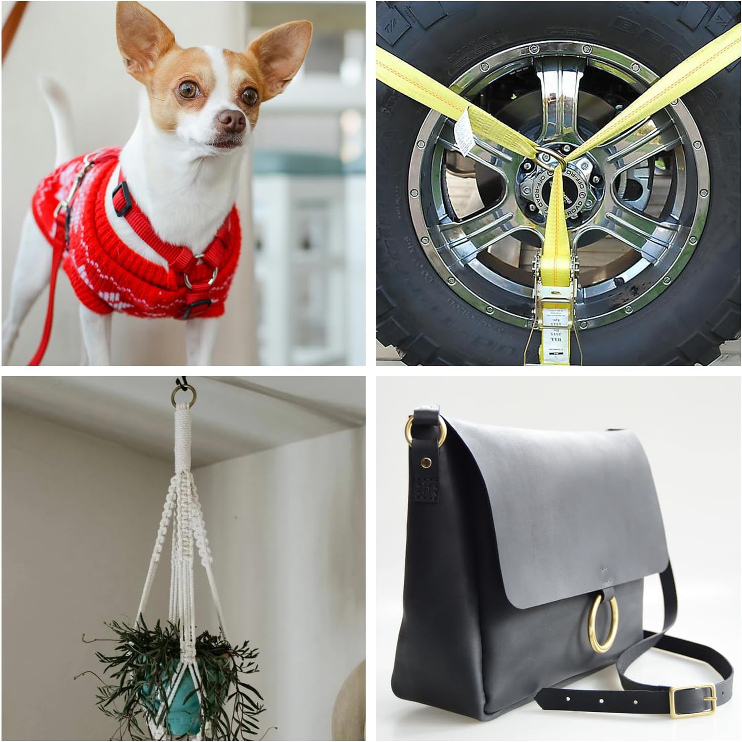 CooBigo 10 Pack 1