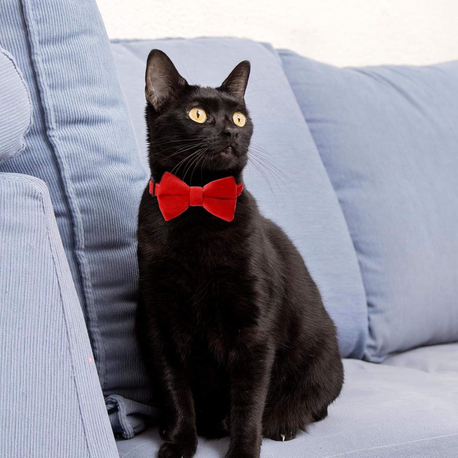 2 Pcs Velvet Cat Collar Cute Cat Bow Tie Collar for Boy Cats Breakaway Kitten Collars with Bell Adjustable Puppy Bow Tie Collar Personalized Collars for Small Pets - Image 4