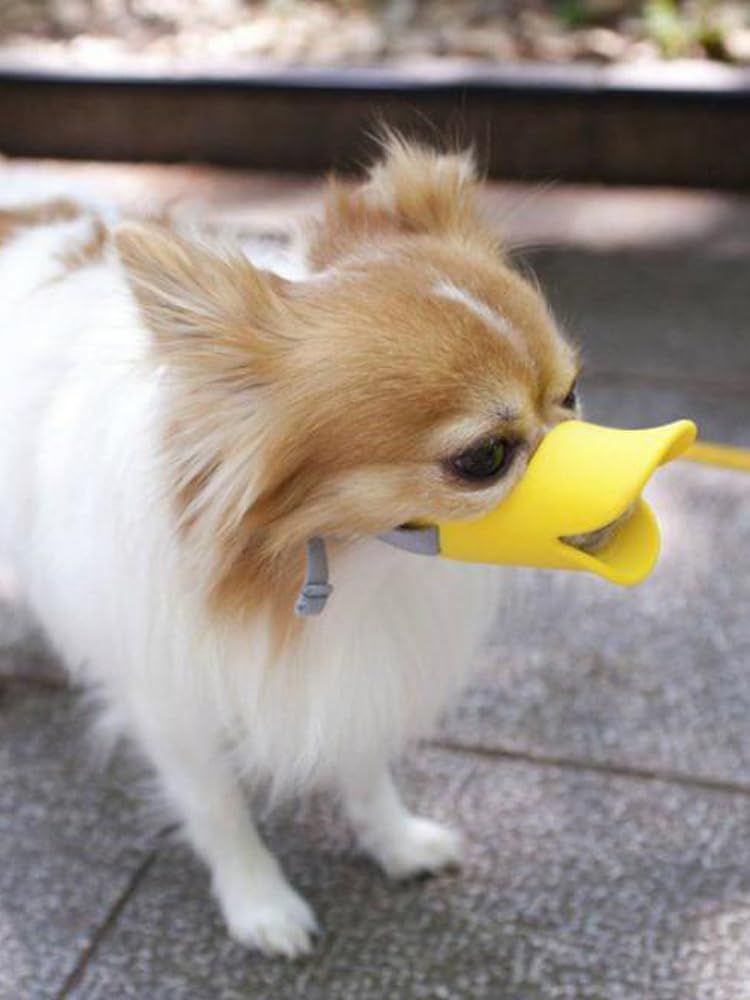 Dog Muzzle,Anti Bite Duck Mouth Shape DogMouth Covers,Soft Duck Silicone Mouth Cover with Adjustable Strap,Small Medium Dogs Muzzle Mask to Prevent Barking,Biting,Chewing(:Yellow,L:13cm/5.12inch) - Image 5