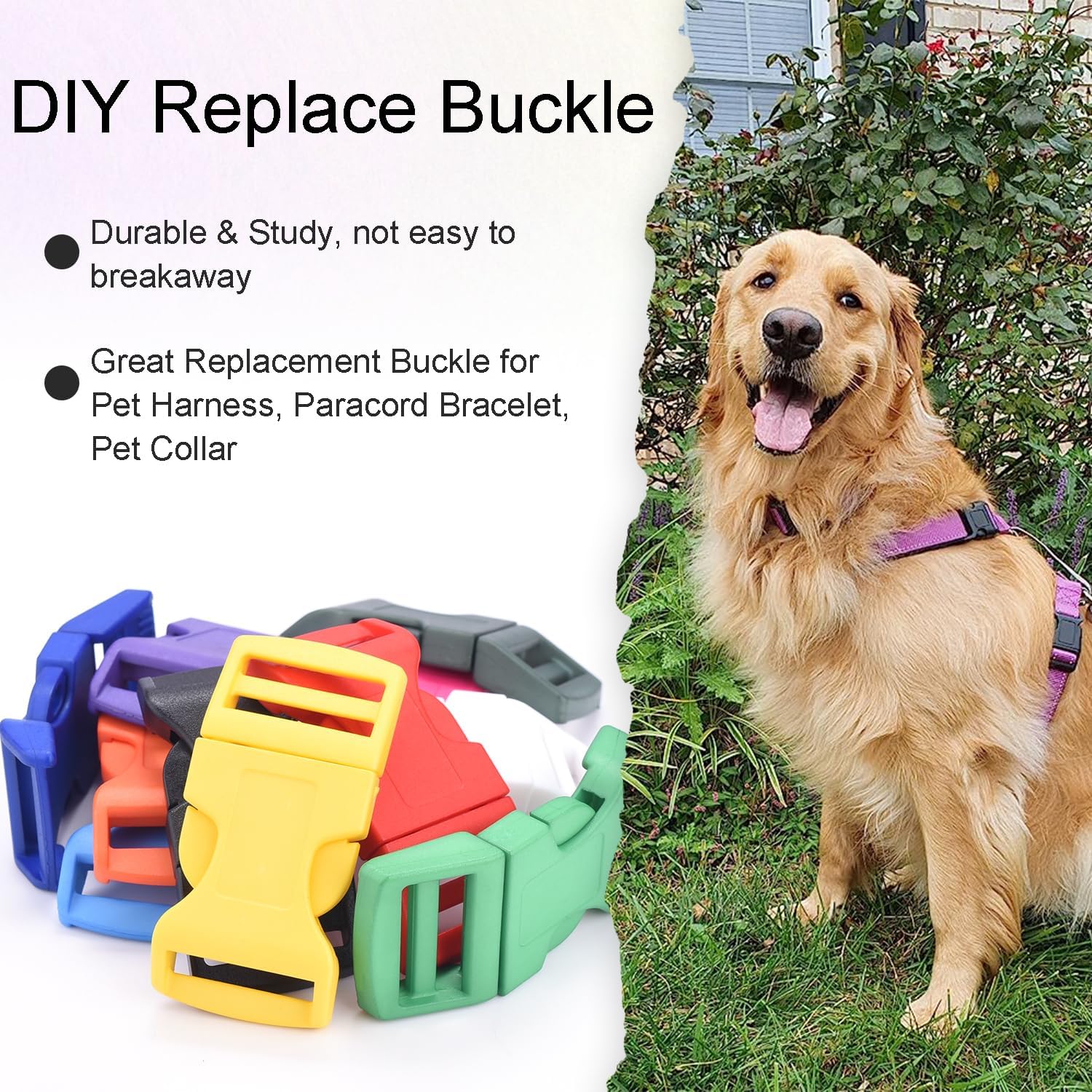 CooBigo 10Pack 1