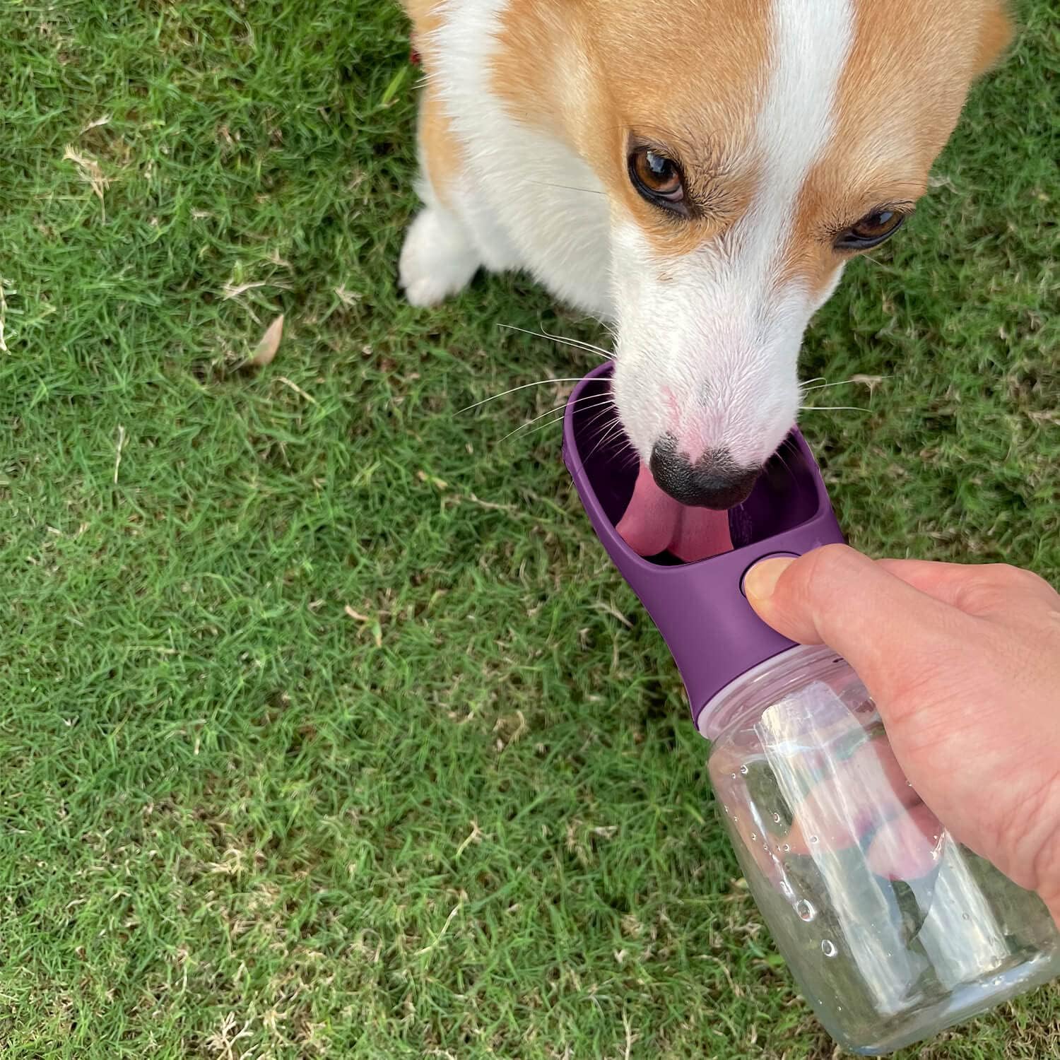 Portable Dog Water Bottle with Food Container, 19 OZ + 6 OZ, Leak Proof Puppy Water Dispenser with Drinking Feeder for Pets Outdoor Walking, Hiking, Travel, Food Grade Plastic - Image 6