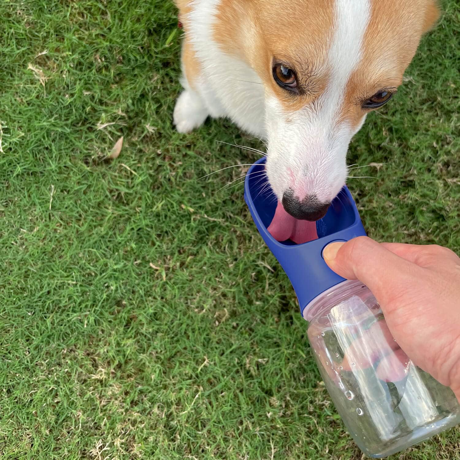 Dog Stake & Leak-Proof Upright Water Cup Set - Image 6