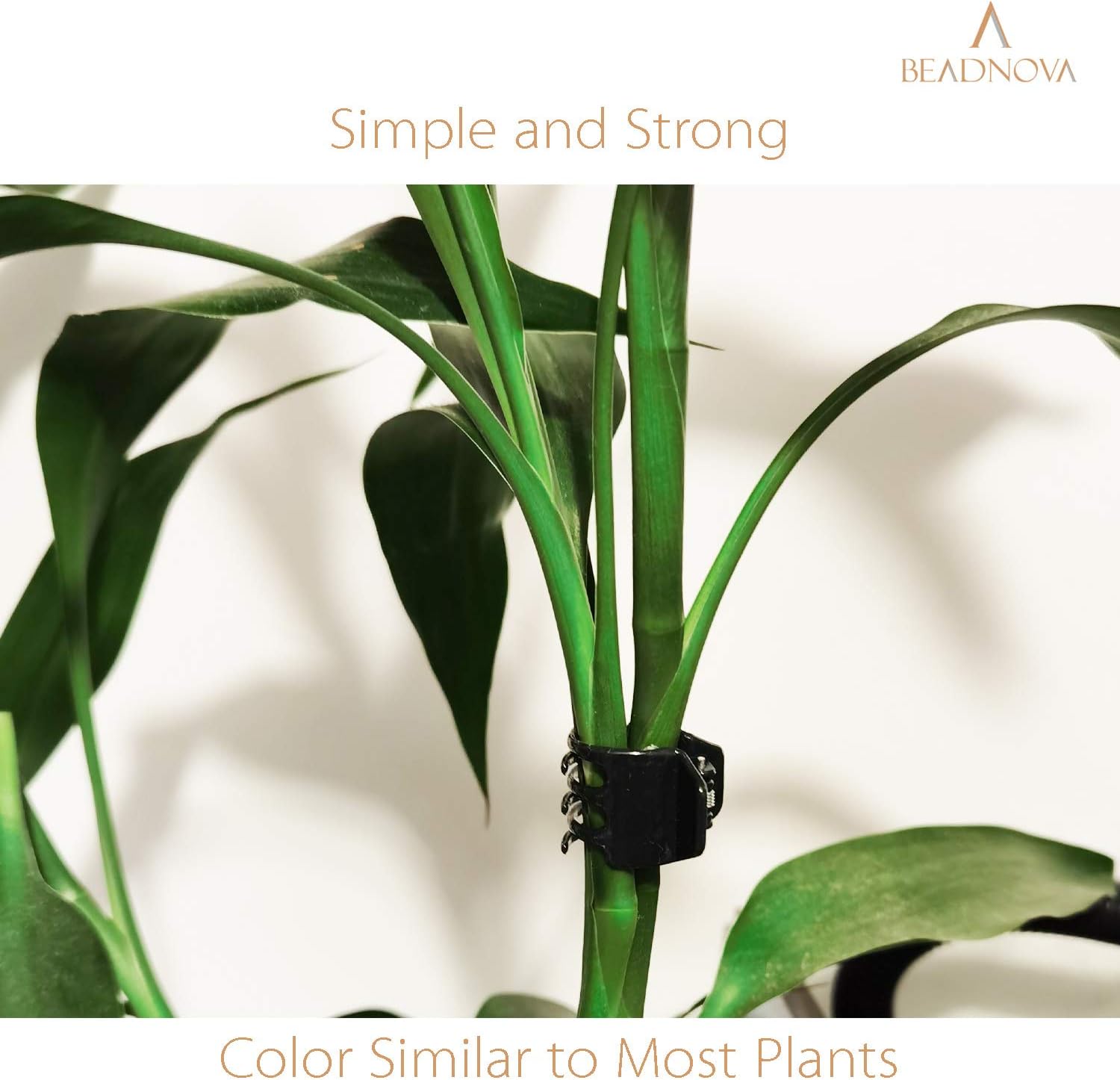 Plant Clips 50Pcs Large Orchid Clips for Orchid Support Plant Support Flower Vine (2cm, 50PCS) - Image 4