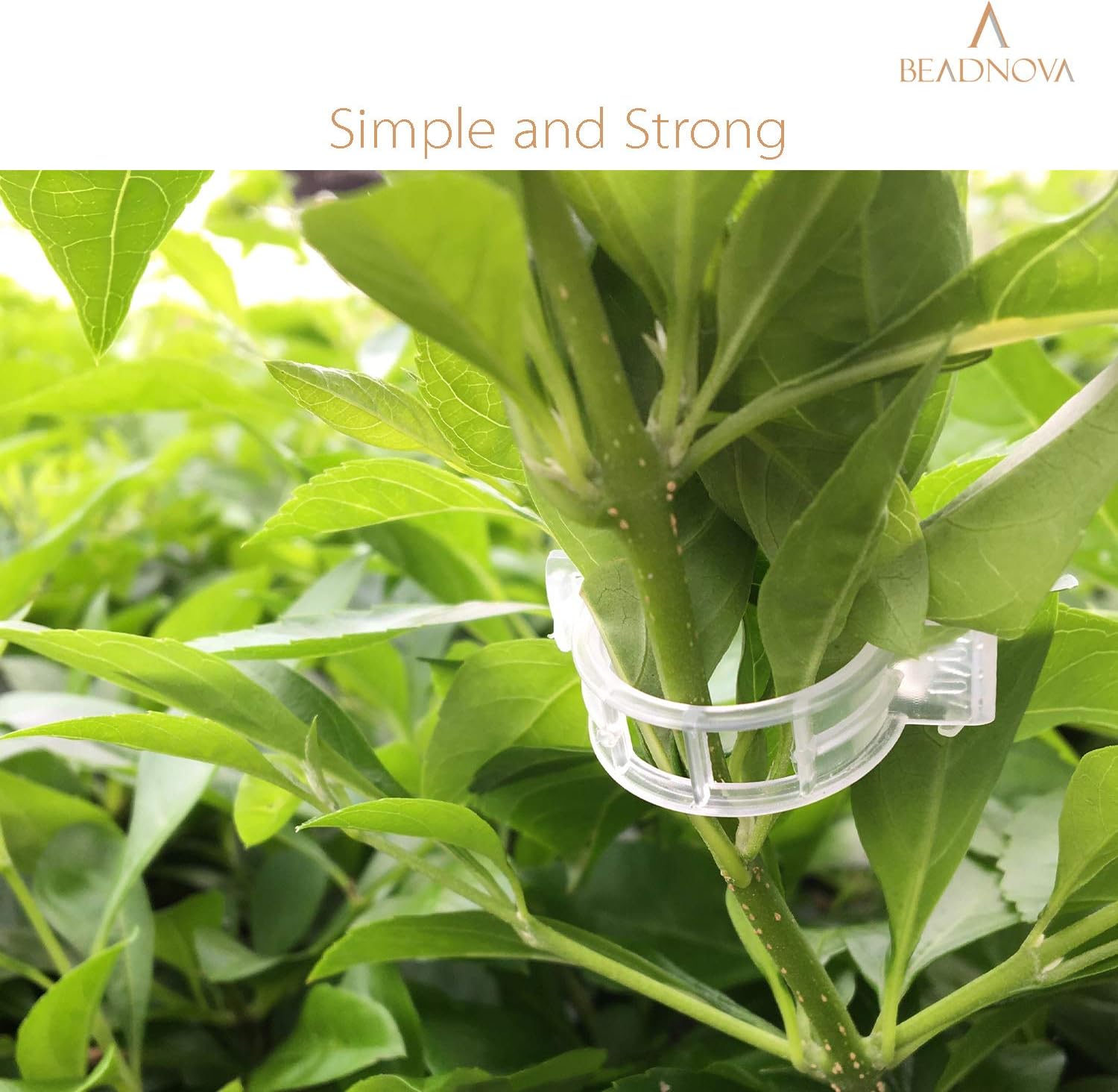 150Pcs Tomato Clips Plant Clips Garden Clips Vine Clips Tomato Trellis Clips for Tomato Vine Vegetable (150PCS) - Image 4