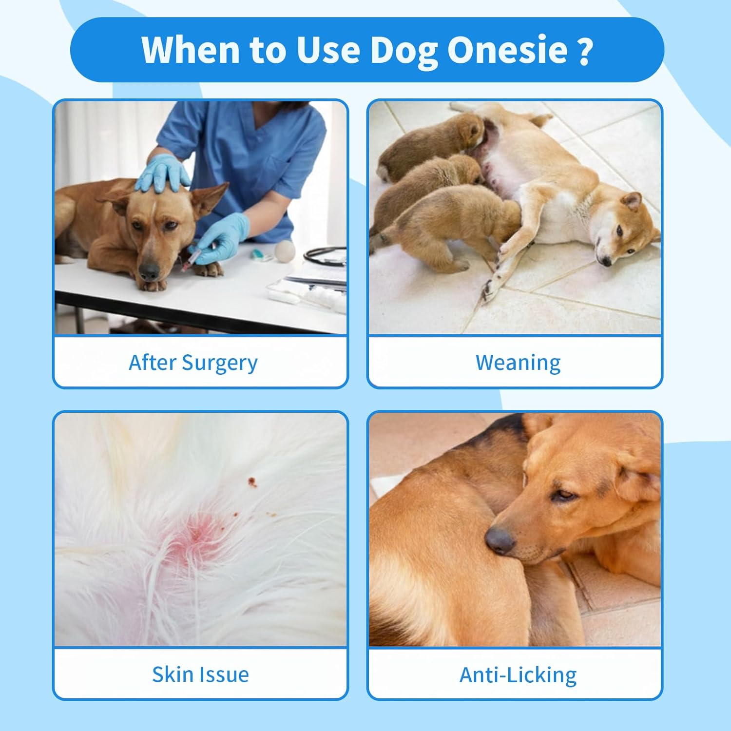 Recovery Suit for Dogs After Surgery, Breathable Dog Onesie Surgical Spay Suit for Female Dogs, Cute Dog Surgery Recovery Suit - Image 6