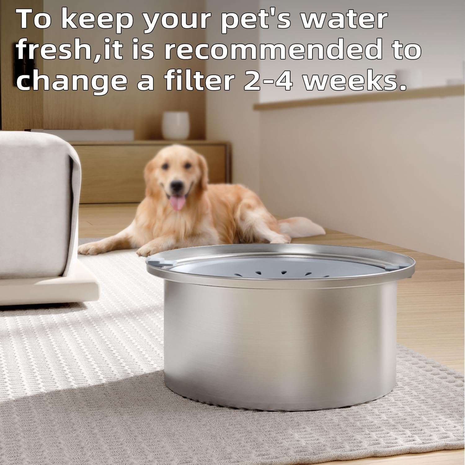 4 Pcs Stainless Steel Dog Water Bowl Filters - Activated Carbon Replacement Filters for No Spill Dog Water Bowl - Image 5