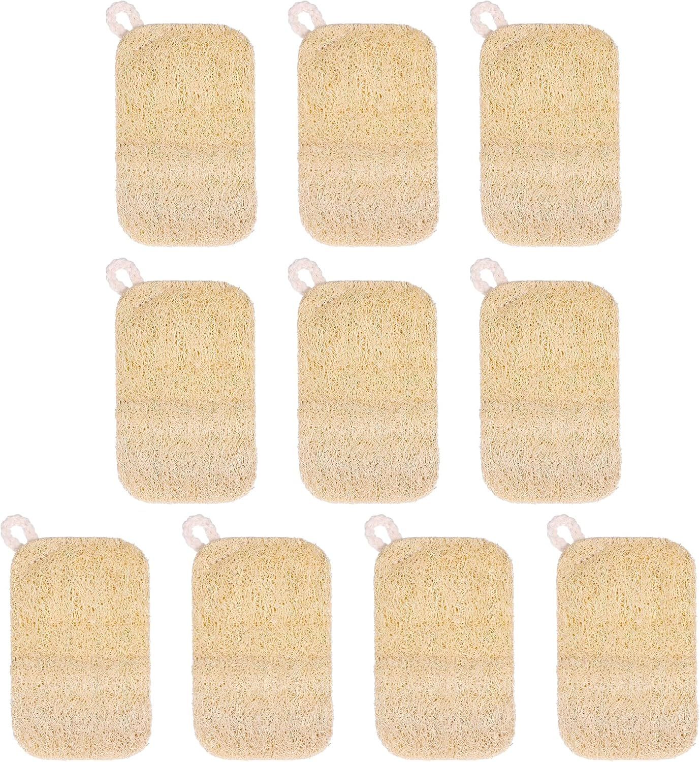 10 PCS Natural Sponges for Dishes, Loofah Dish Sponge for Kitchen Compostable Natural Loofah Sponges - Image 1