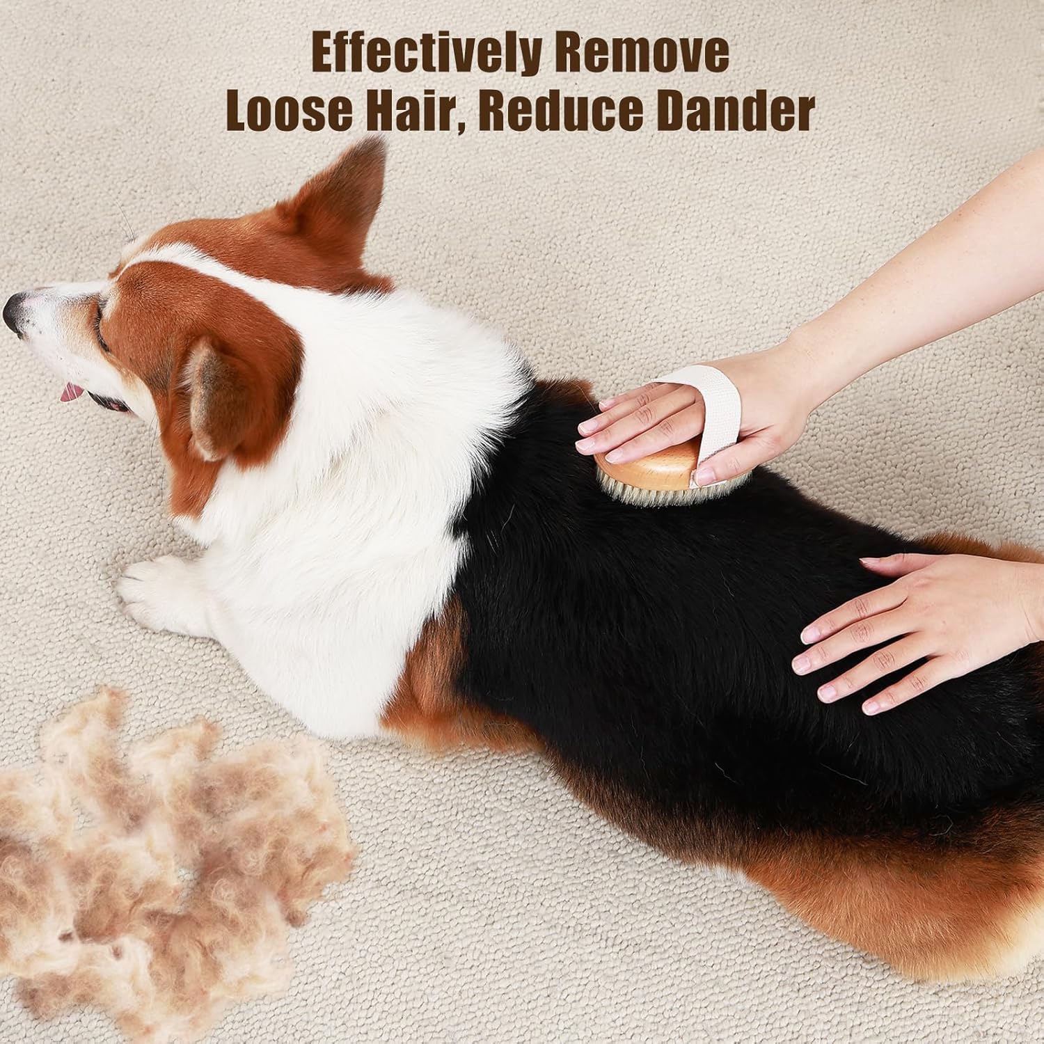 Soft Boar Bristle Pet Palm Brush for Short Haired Dogs and Cats with Band, Reduce Shedding, Ergonomic Dog Brush, Easy to Hold and Reduces Stress On Your Wrist | Ideal for Daily Grooming - Image 2
