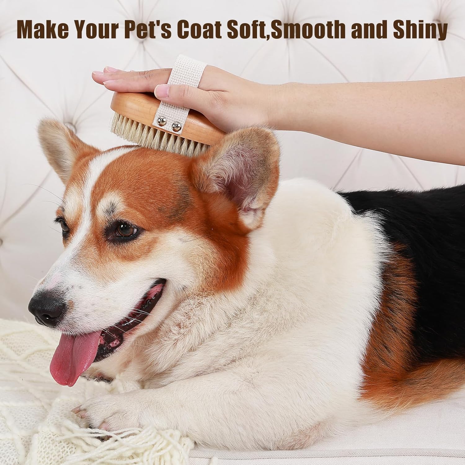 Soft Boar Bristle Pet Palm Brush for Short Haired Dogs and Cats with Band, Reduce Shedding, Ergonomic Dog Brush, Easy to Hold and Reduces Stress On Your Wrist | Ideal for Daily Grooming - Image 3