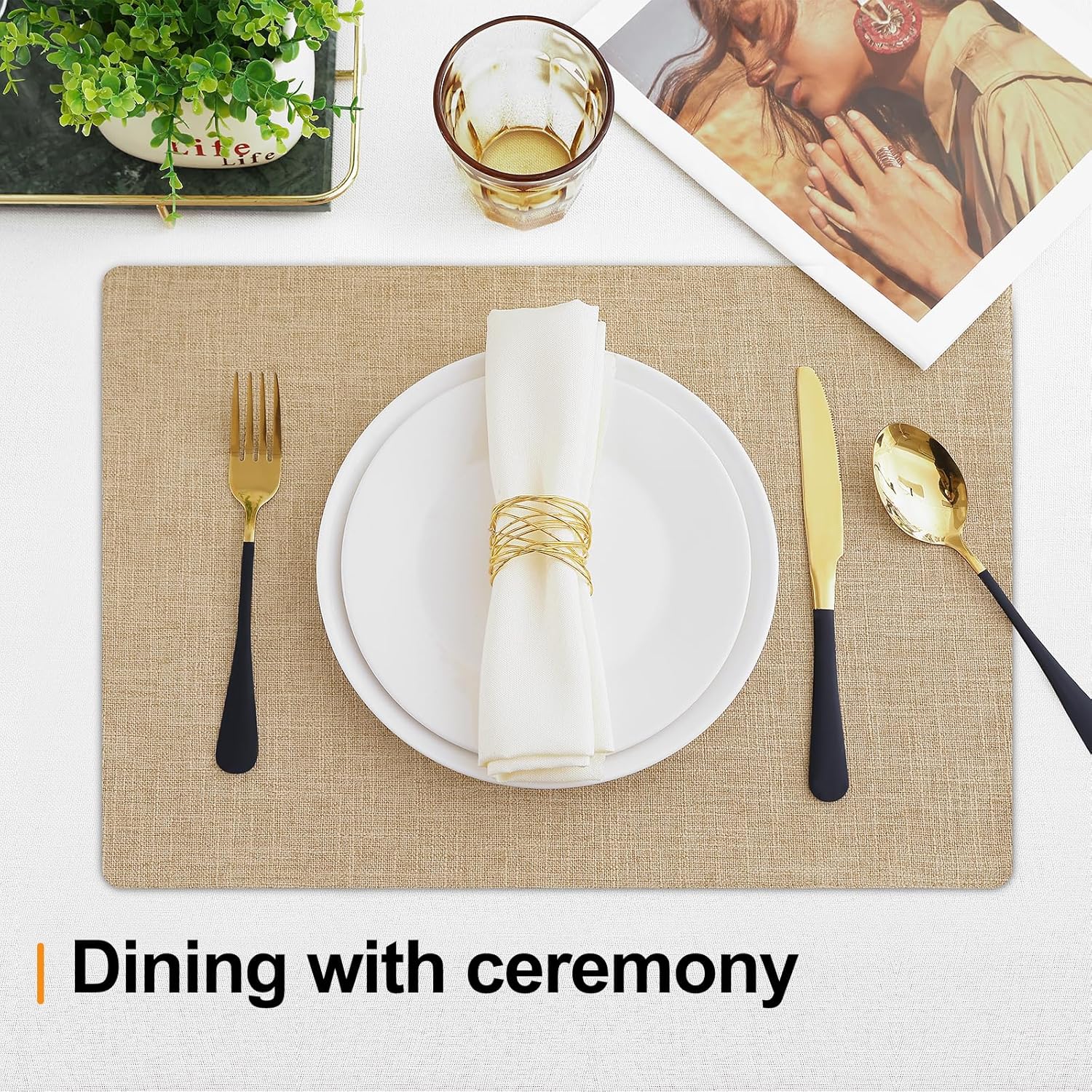 Homaxy Cloths Placemats for Dining Table Set of 6(13