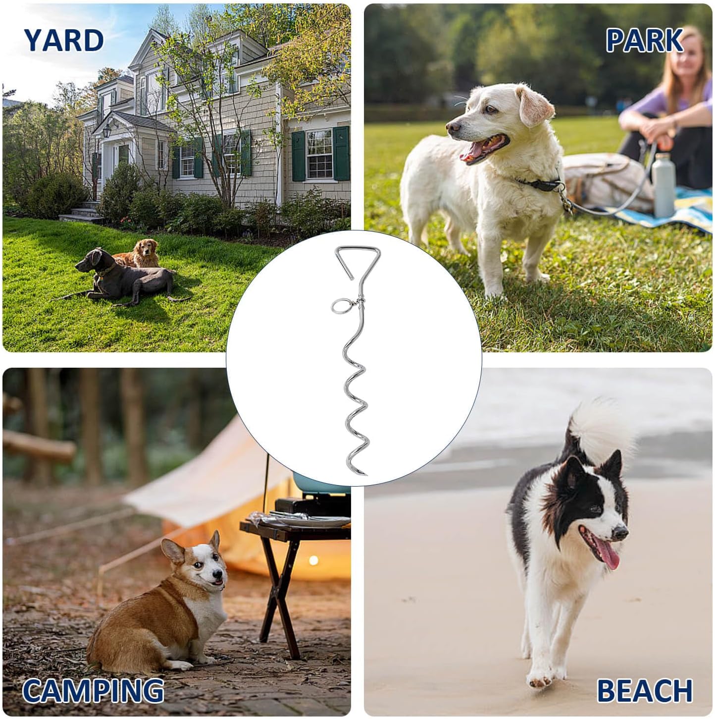 Dog Tie-Out Stake and 2-in-1 Shedding Grooming Tool - Image 5
