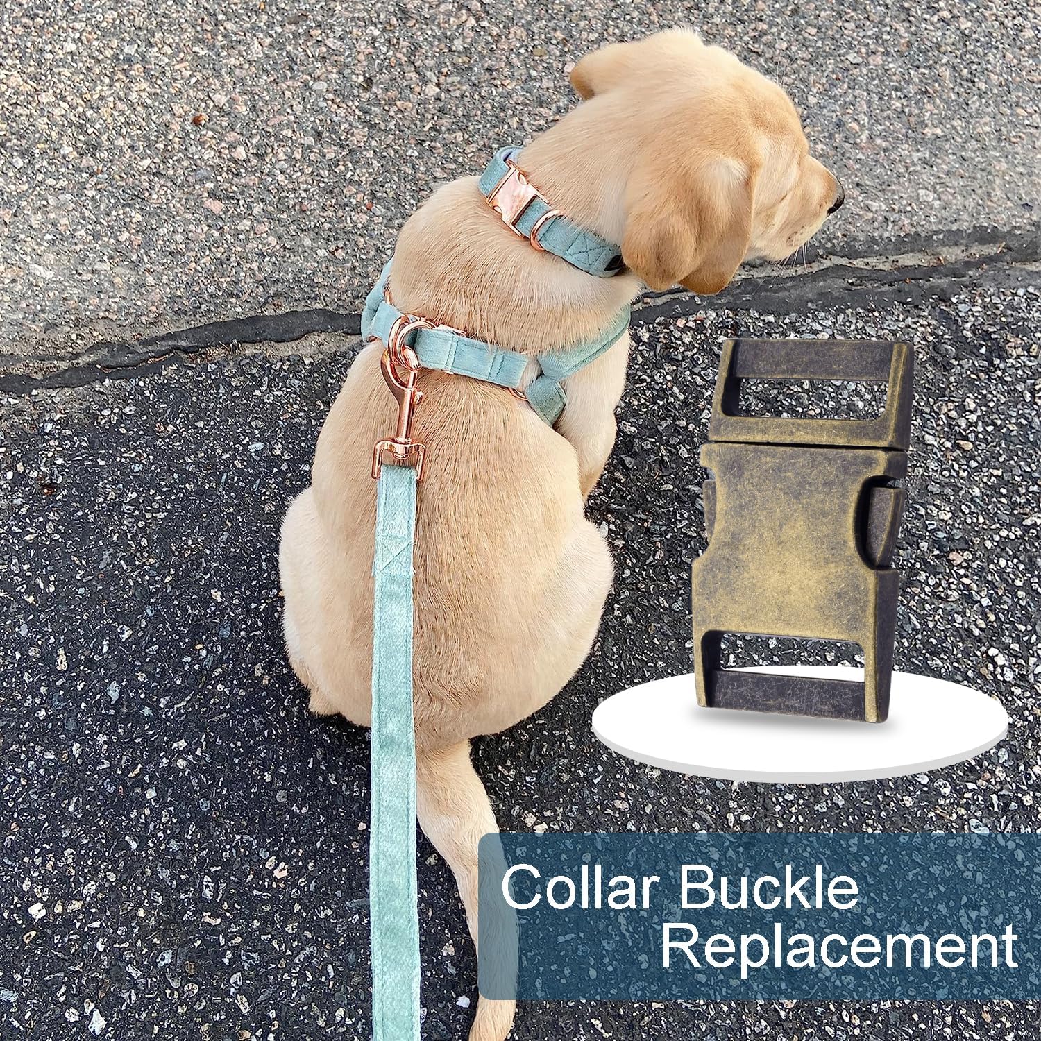 CooBigo 10 Pack Bulk Dog Collar Hardware Metal Buckle 1 inch Webbing Backpack Buckle Replacement Backpack Strap Kit Prong Collar Clip Buckles(Bronze) - Image 6