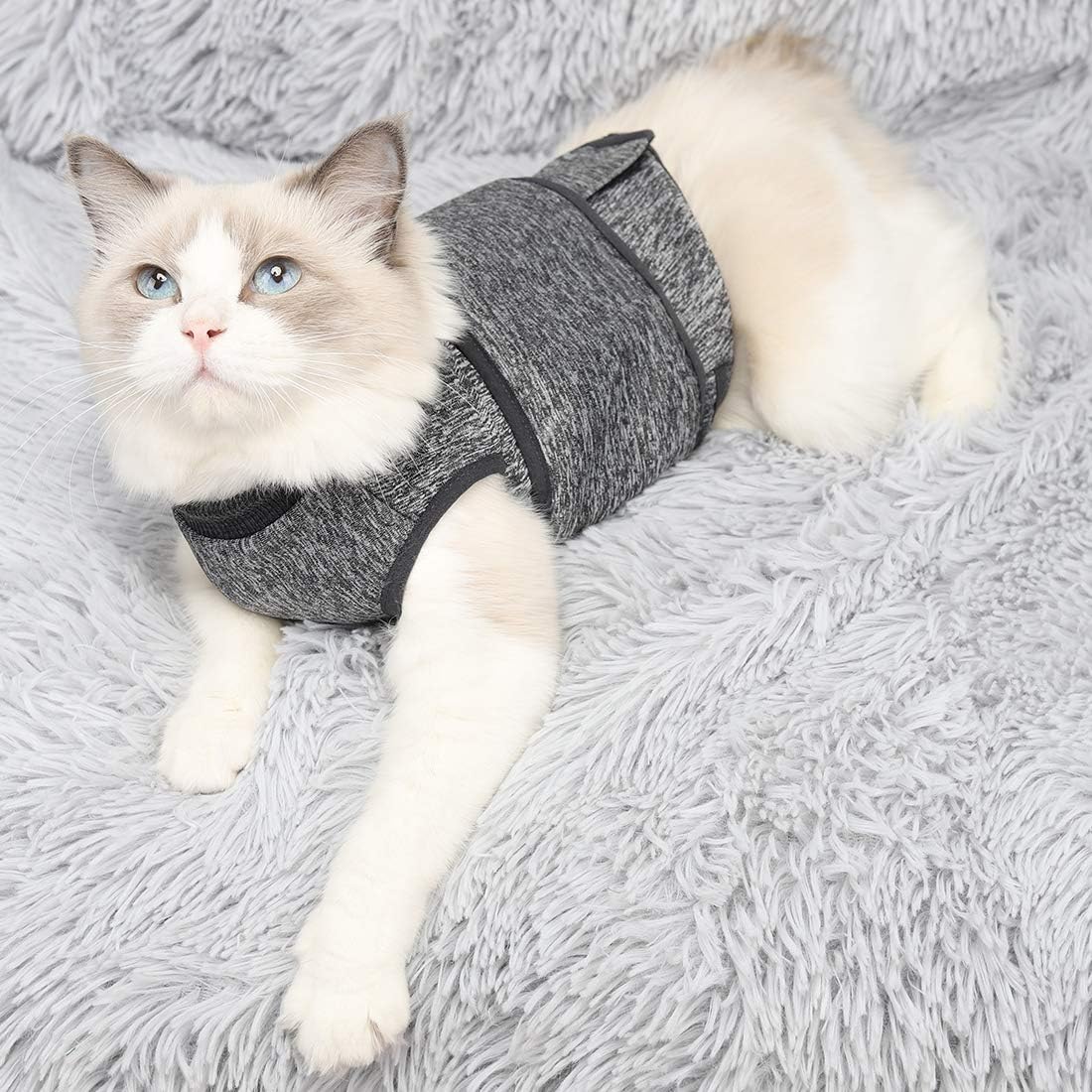 Cat Anxiety Jacket, Anxiety Vest for Cats, Cat Anti Anxiety Vest, Shirt for Cat, Cats Calming Wrap Vet Recommended Calming Solution Vest for Fireworks, Travel, Separation - Image 5