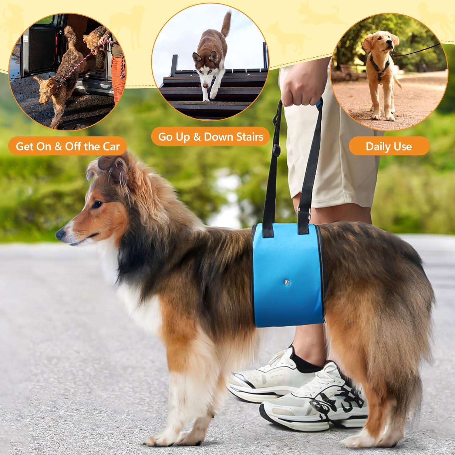 Dog Lift Harness Dog Sling for Large Dogs, Portable Dog Carrier Sling for Back Legs, Ajtable Hip Support Harness for Weak Rear Leg, Assist Senior Disabled Joint Injuried and After ACL - Image 6