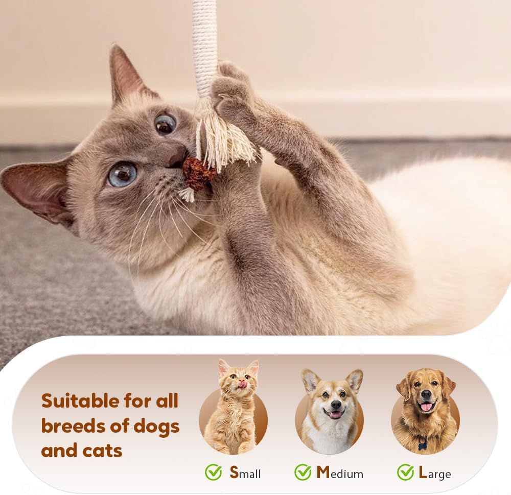 Cat Chew Rope Toy,Interactive Cat Toys for Indoor Cats,Catnip Toys for Bored Indoor Adult Cats,Cat Enrichment Toys,Teeth Cleaning Toy for Kittens All Breeds 23.6in (Purple) - Image 6
