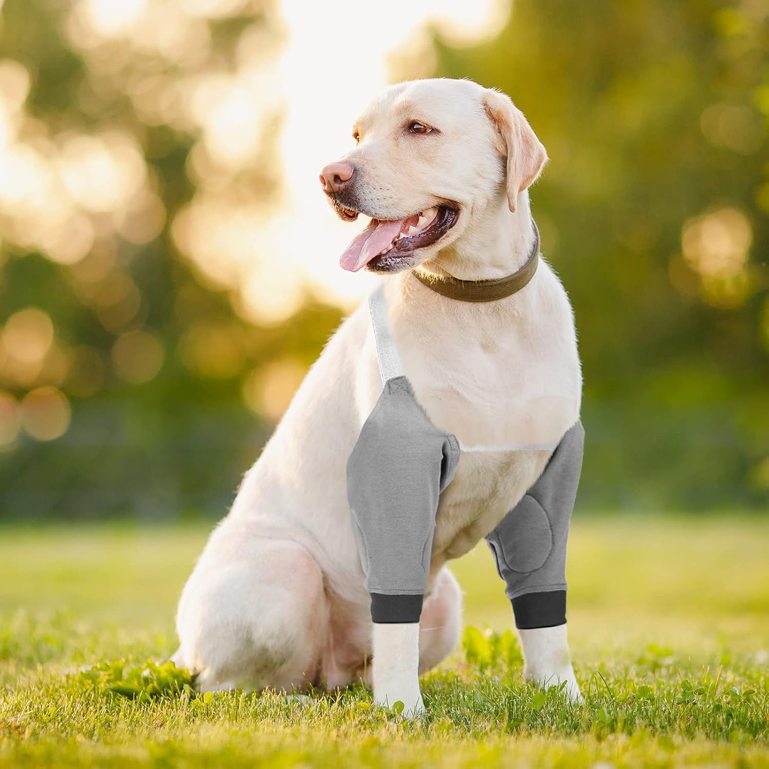 2 Pairs Dog Elbow Protector Dog Recovery Sleeve with Elastic Band Soft Padded Adjustable Front Leg Braces for Small Medium Large Doggy, 2 Colors(X-Large) - Image 2