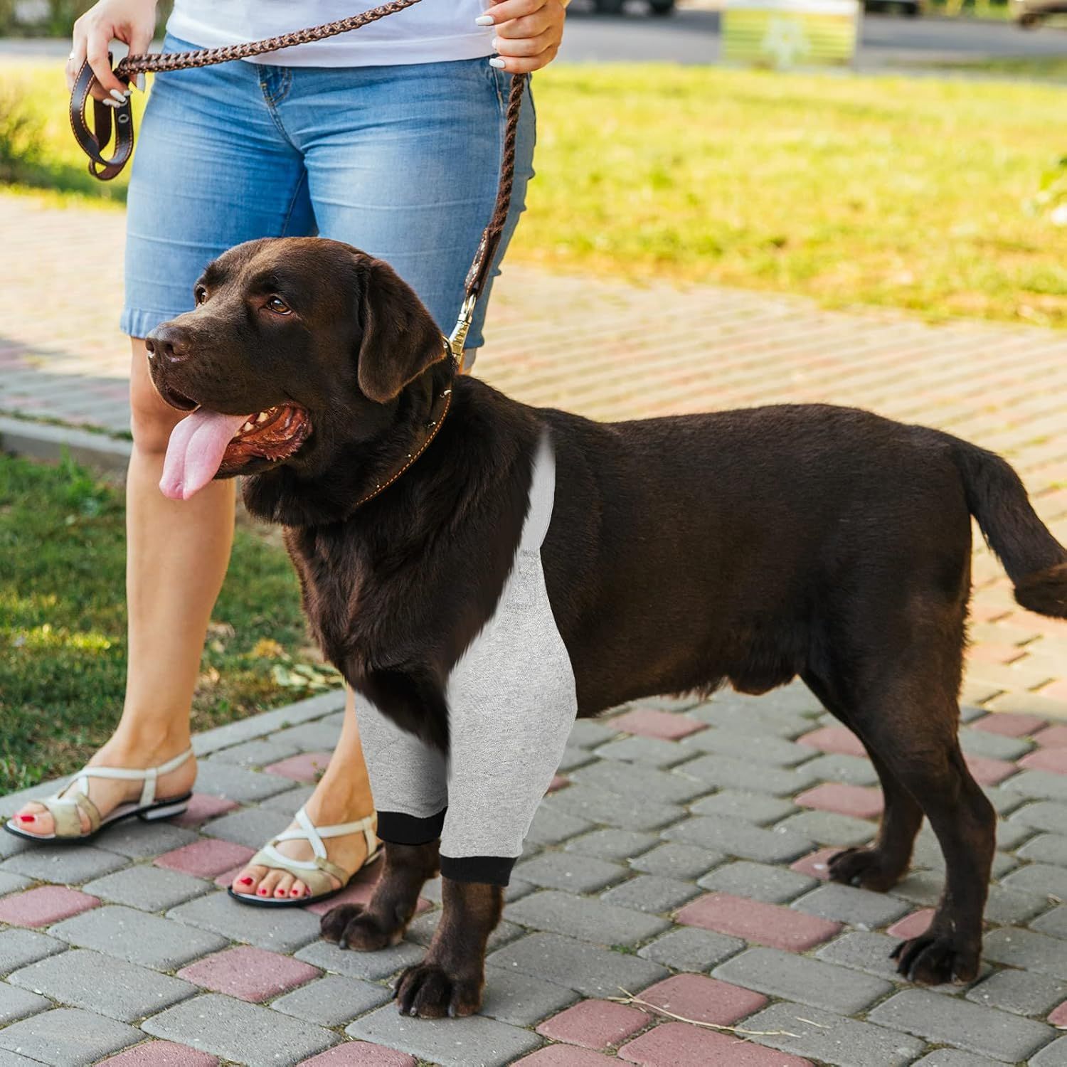 2 Pairs Dog Elbow Protector Dog Recovery Sleeve with Elastic Band Soft Padded Adjustable Front Leg Braces for Small Medium Large Doggy, 2 Colors(X-Large) - Image 6