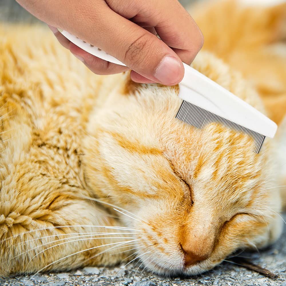 Pet Hair Comb, 2025 New Multifunctional Pet Grooming Brush Pet Hair Comb Tear Stain Removal, Fine-Tooth Stainless Grooming Massage Comb Stainless for Small Dogs Puppies - Image 7