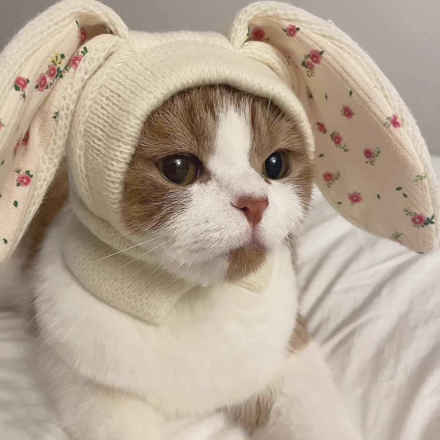 Small Dogs Cats Knitted Snood Cute Hat with Rabbit Ears for Winter Warm, Pet Scarf Headwear Accessory for Photo (White,L) - Image 2