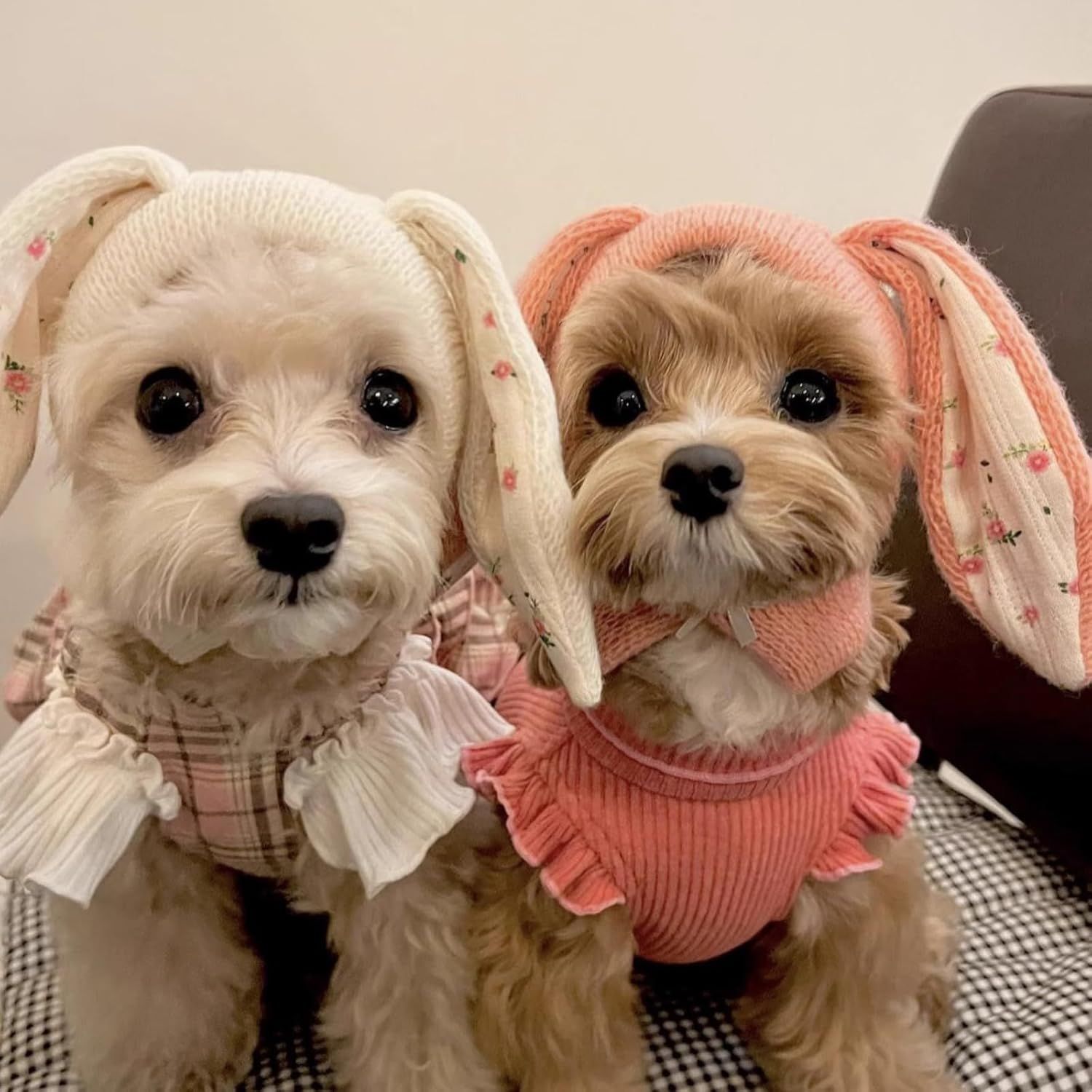 Small Dogs Cats Knitted Snood Cute Hat with Rabbit Ears for Winter Warm, Pet Scarf Headwear Accessory for Photo (White,L) - Image 3