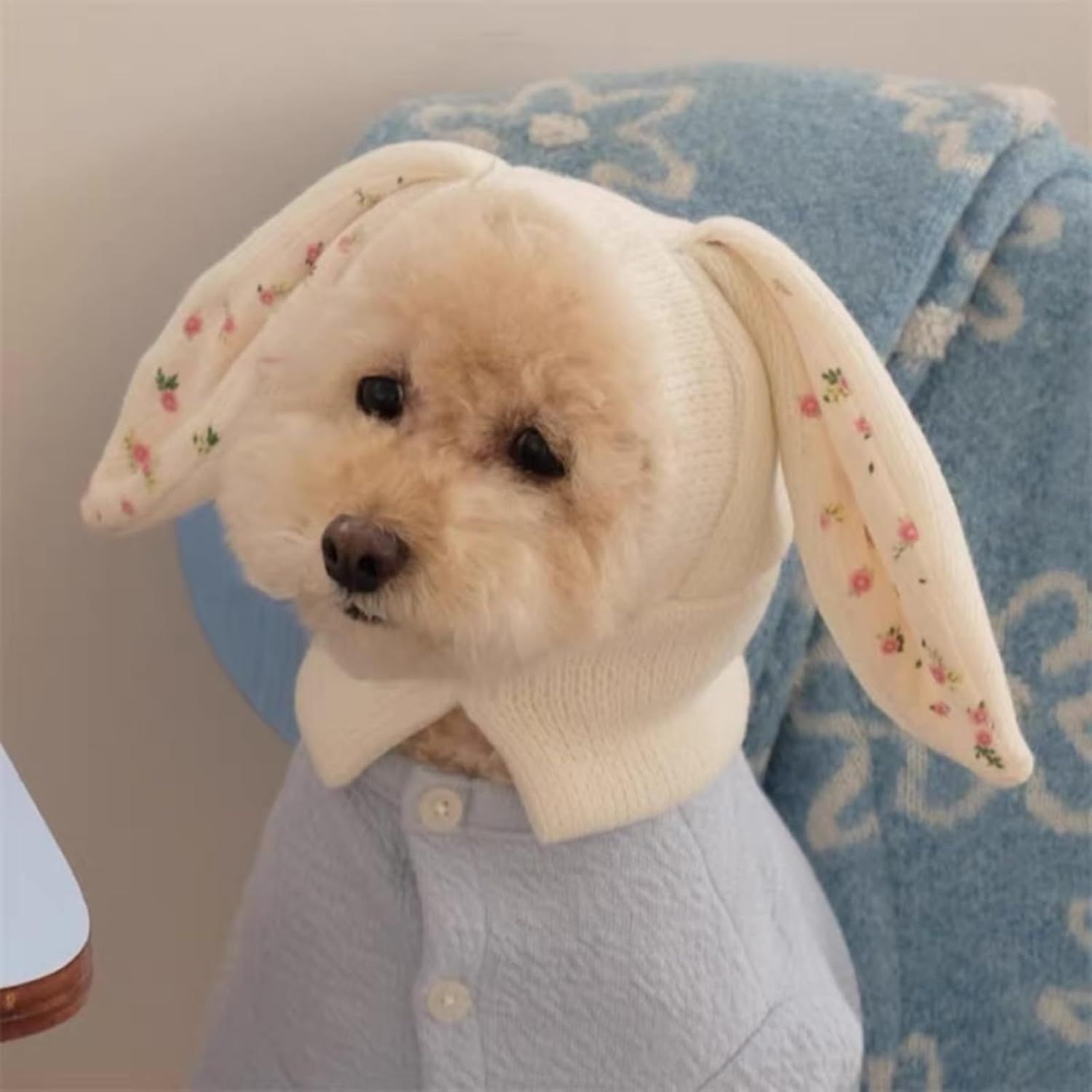 Small Dogs Cats Knitted Snood Cute Hat with Rabbit Ears for Winter Warm, Pet Scarf Headwear Accessory for Photo (White,L) - Image 4