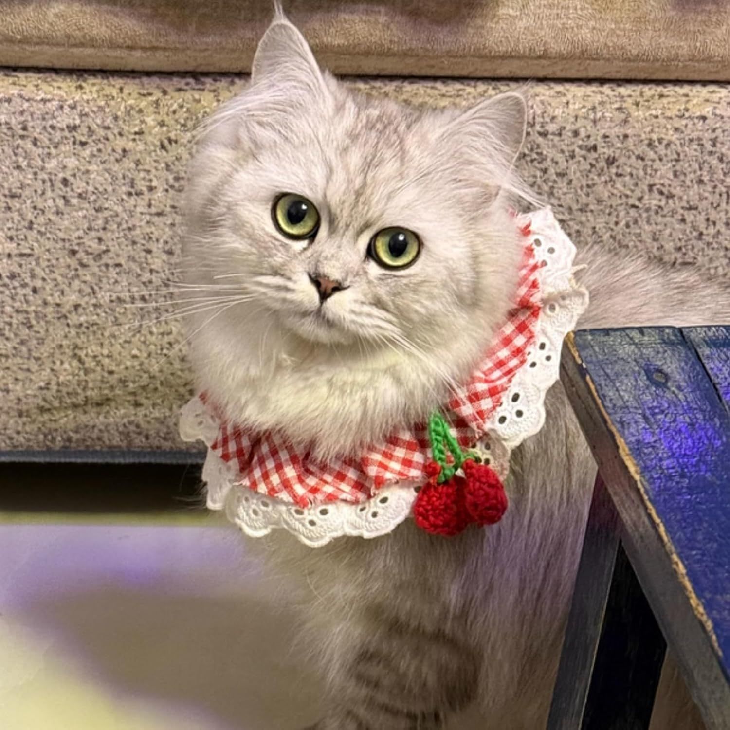 Cute Dog Cat Bandana, Pet Accessory Collar with Red Plaids Lace Edge Knitted Cherry Strawberry Charm (Cherry,XL) - Image 3