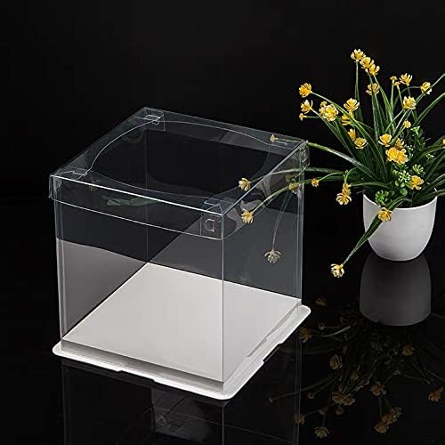 10 inch Clear cake Box, Large Transparent cake Box,tall cake boxes with Ribbon,10x10x9inch - Suitable for packing 8
