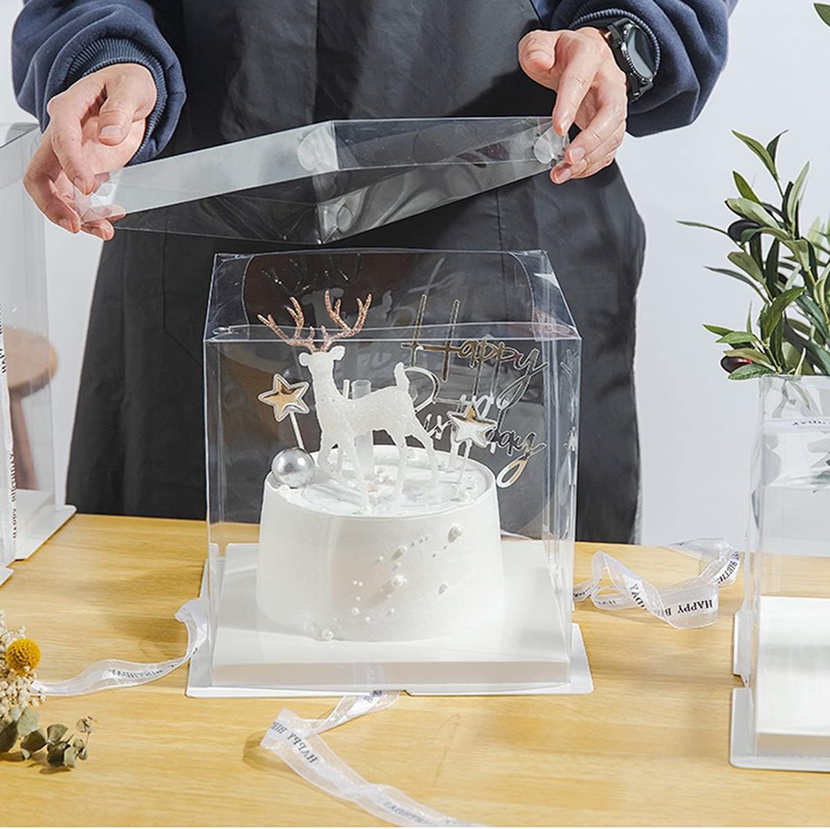 10 inch Clear cake Box, Large Transparent cake Box,tall cake boxes with Ribbon,10x10x9inch - Suitable for packing 8