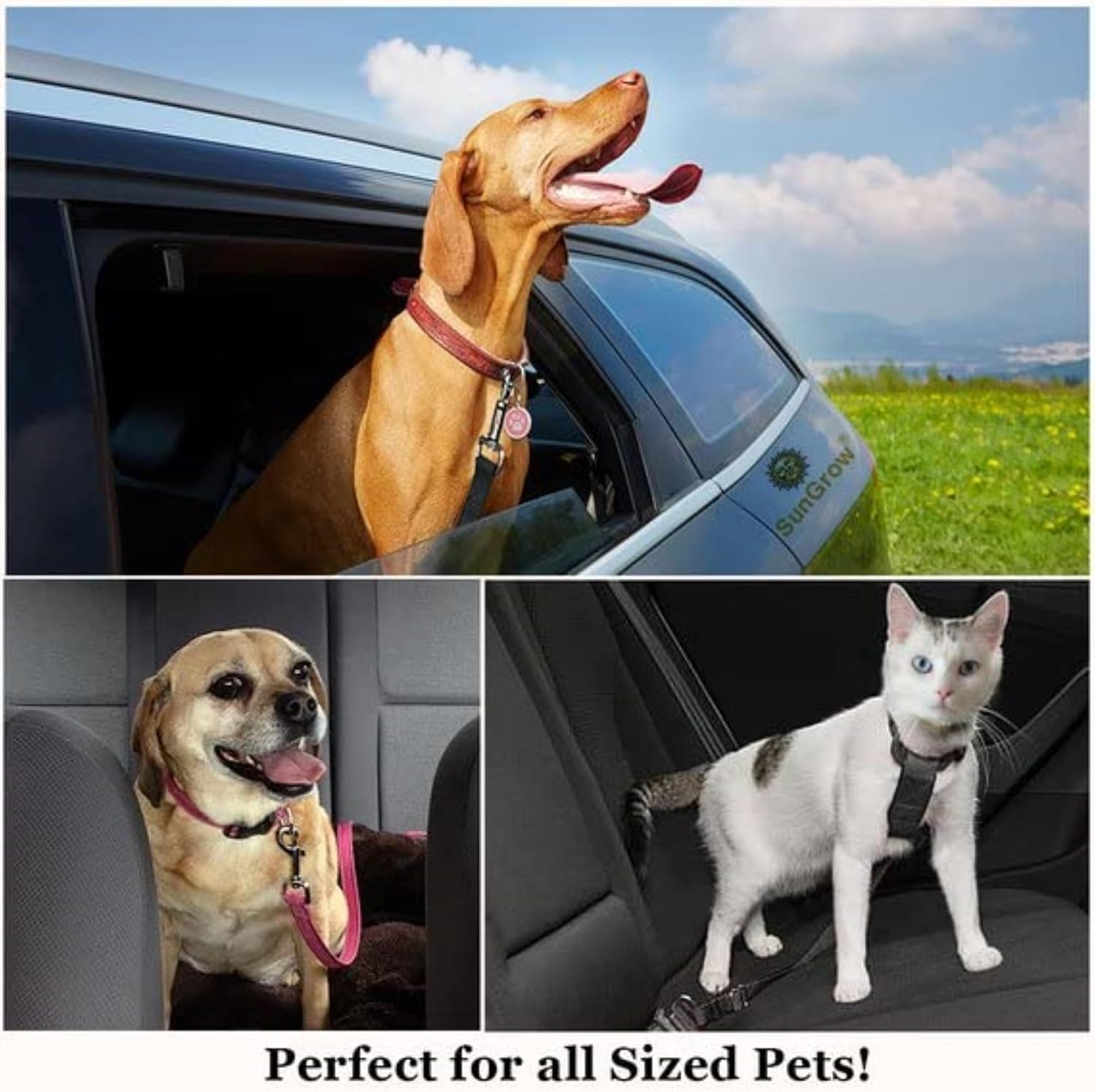 Dog Seat Belt for Car, Adjustable Nylon Pet Seatbelt, Supports All Cars, Dog Car Leash Seat Belt, Seatbelt for Dogs, Cats & Ferrets Travel Harness - Image 8