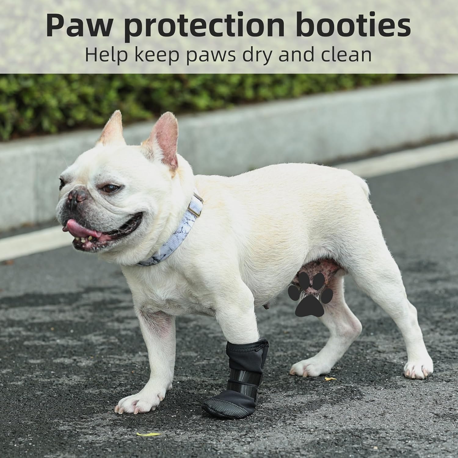 Dog Paw Wound Recovery Boot, Breathable Dog Bootie for Injured Paw, Anti-Slip Dog Shoe with Self-Adhesive Strap, Dog Paw Protector for Outdoor Walking & Keep Dogs from Licking Wounds (M) - Image 4