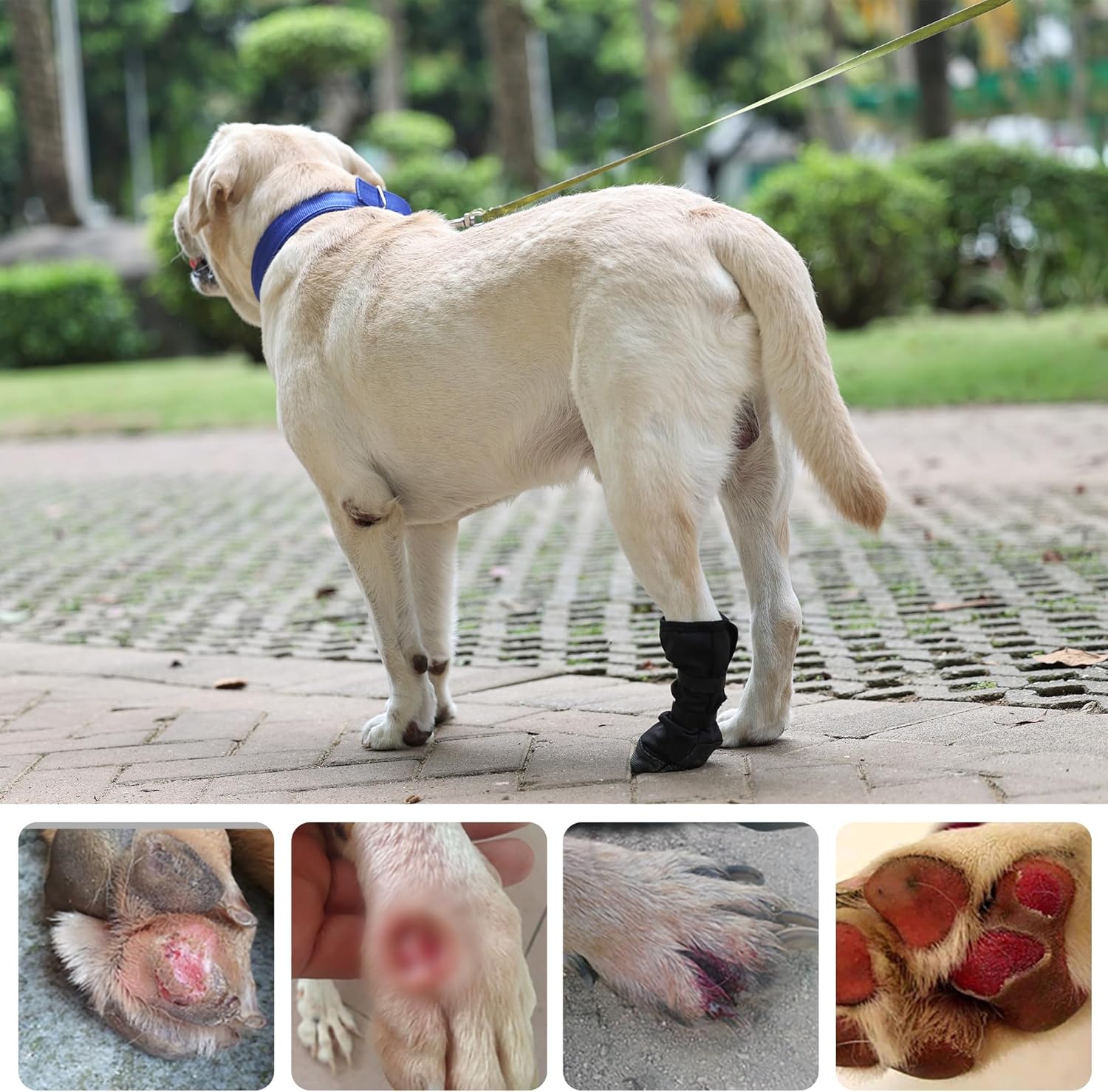 Dog Paw Wound Recovery Boot, Breathable Dog Bootie for Injured Paw, Anti-Slip Dog Shoe with Self-Adhesive Strap, Dog Paw Protector for Outdoor Walking & Keep Dogs from Licking Wounds (M) - Image 6