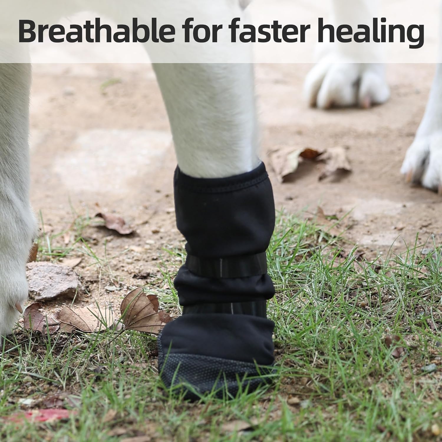 Dog Paw Wound Recovery Boot, Breathable Dog Bootie for Injured Paw, Anti-Slip Dog Shoe with Self-Adhesive Strap, Dog Paw Protector for Outdoor Walking & Keep Dogs from Licking Wounds (M) - Image 7