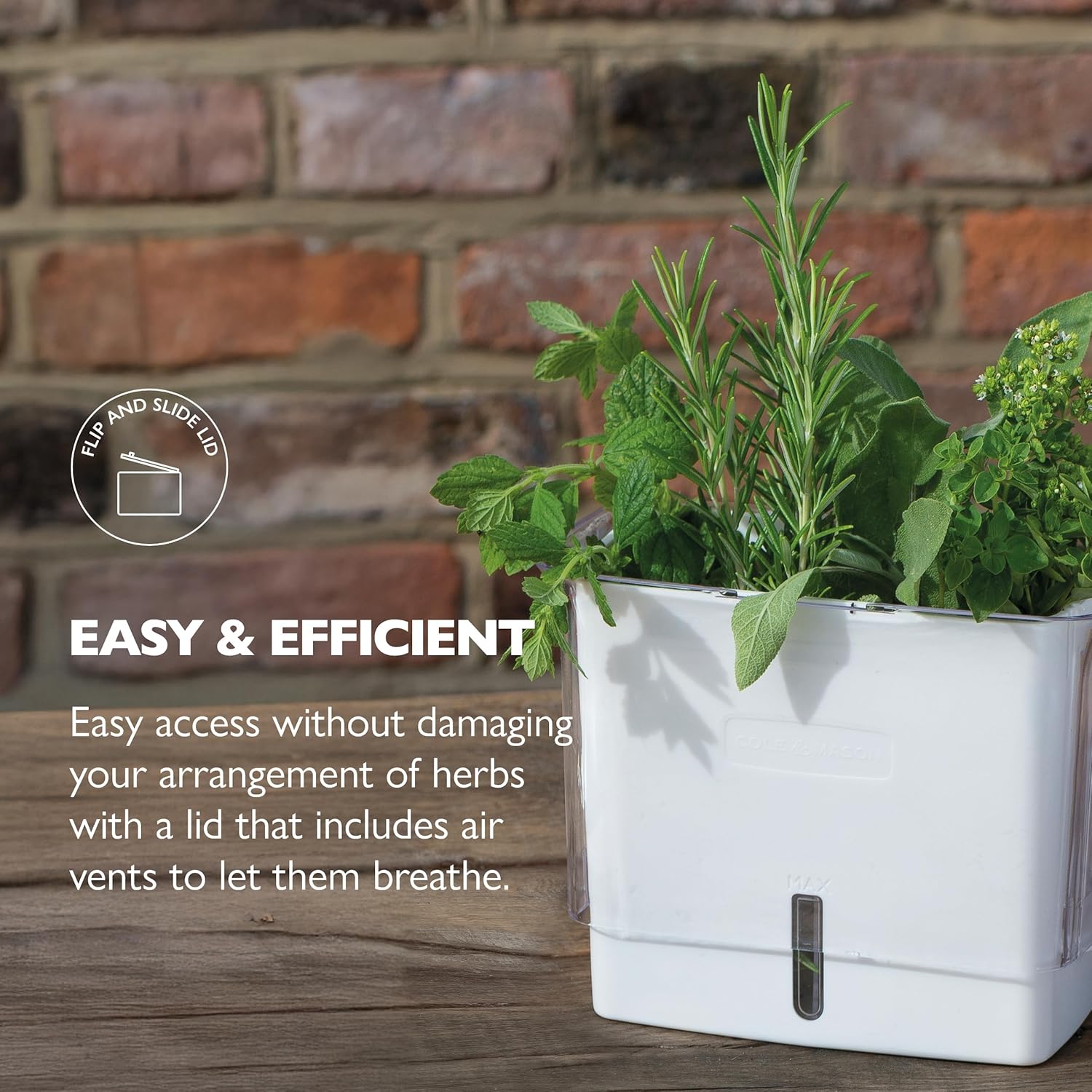 Fresh Herb Keeper - Acrylic Storage Container for Refrigerator - Storage for Herbs & Vegetables for Fridge - Fresh Herb Keeper - Image 3