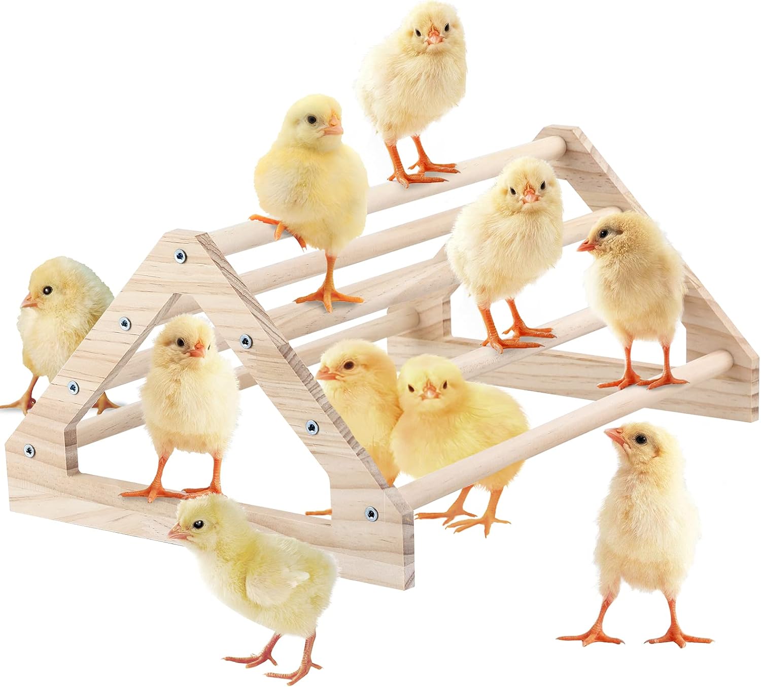 Wooden Chick Perch Stand, Pine Roosting Bar, Jungle Gym Perch Toys for Chicken Coop & Brooder, Bird Perch for Baby Chicks & Parrots (Large) - Image 1