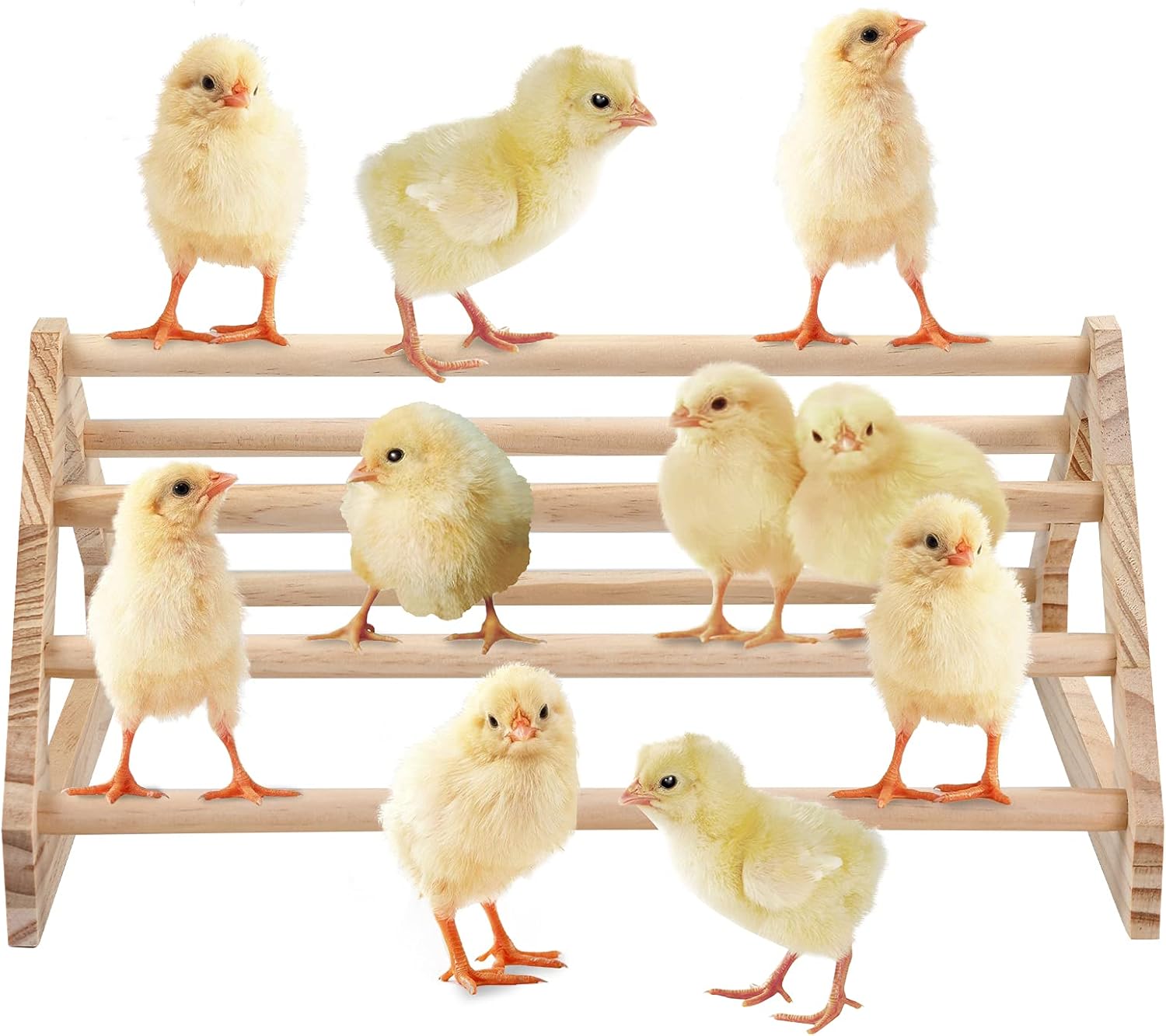 Wooden Chick Perch Stand, Pine Roosting Bar, Jungle Gym Perch Toys for Chicken Coop & Brooder, Bird Perch for Baby Chicks & Parrots (Large) - Image 2