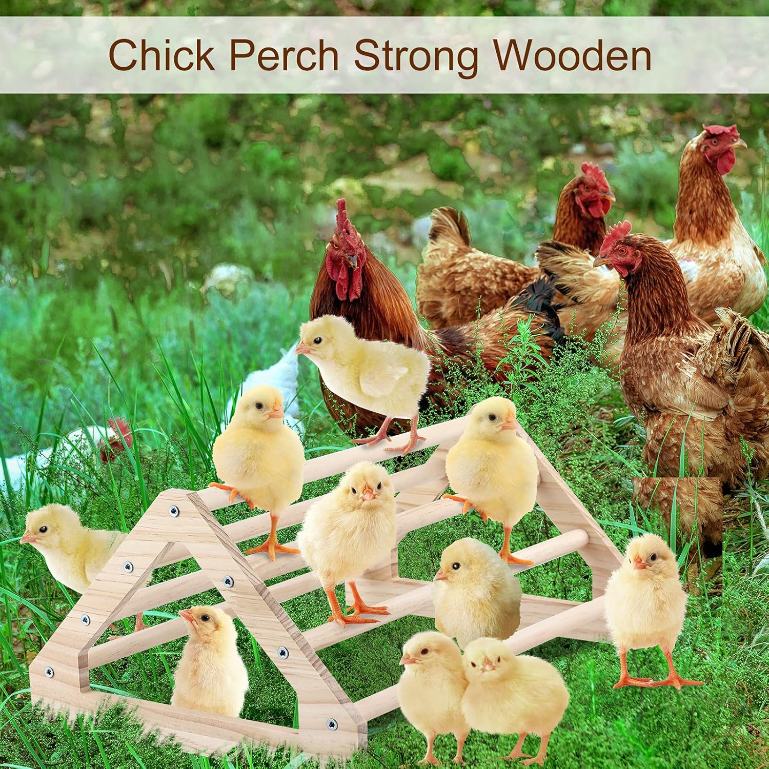 Wooden Chick Perch Stand, Pine Roosting Bar, Jungle Gym Perch Toys for Chicken Coop & Brooder, Bird Perch for Baby Chicks & Parrots (Large) - Image 6