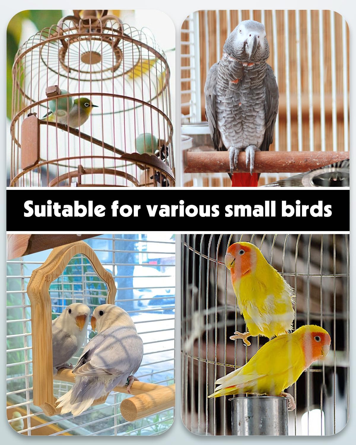 Bird Water Dispenser, Automatic Water Feeder, Plastic Cage Water Dispenser, White Parrot Waterer for Small Parakeet Cockatiel Budgie Lovebirds (Not Fit for Food Feeding) - Image 7