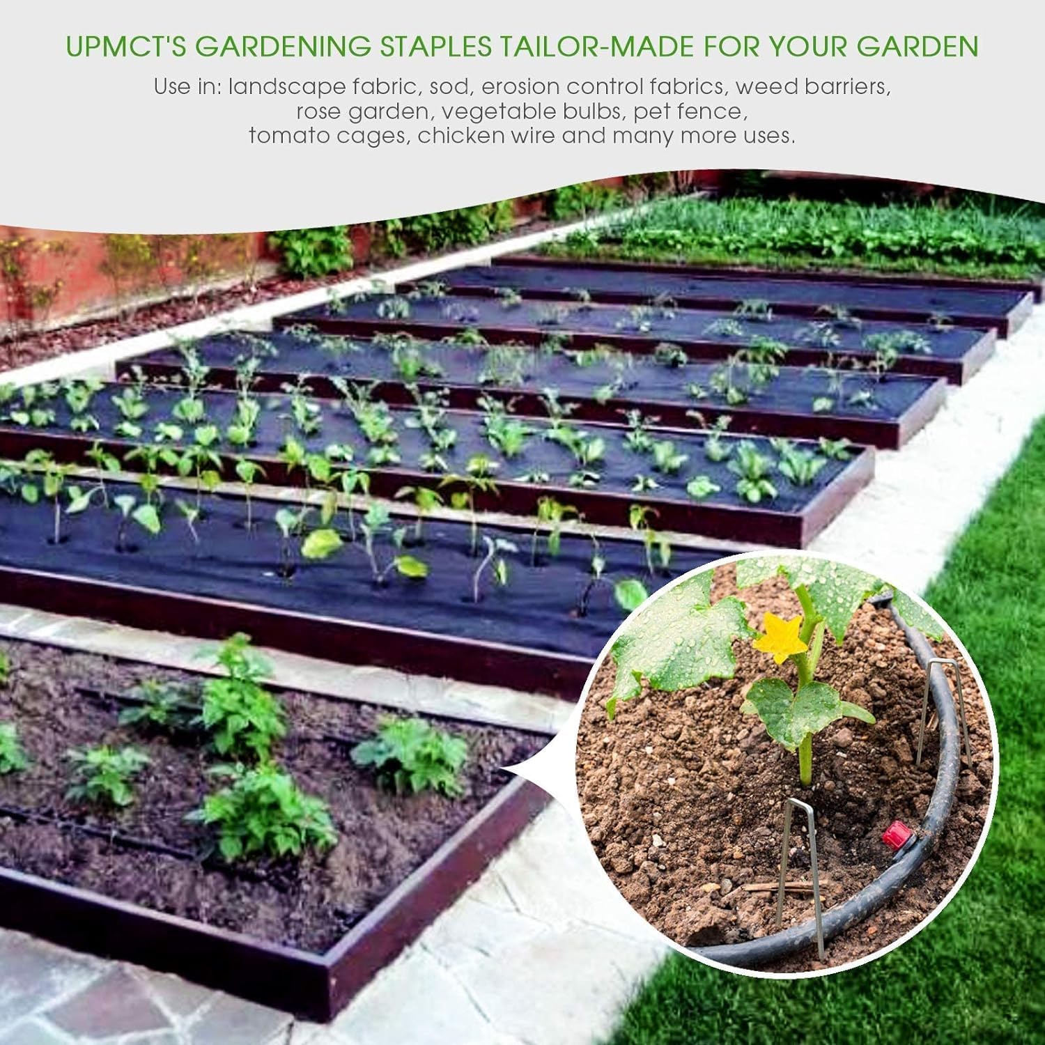 12 Inch Galvanized Garden Landscape Staples Stakes, 25 50 100 PCS Anti-Rust Garden Staples Tent Ground Stakes U-Shaped Landscape Pins for Secure Lawn Fabric, Decoration (25, 12 Inch) - Image 5
