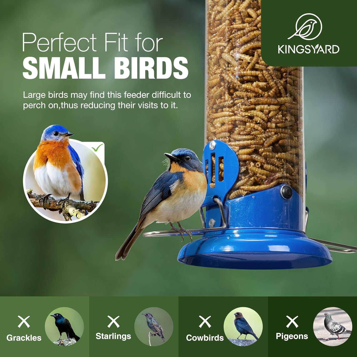 Upgraded Bluebird Feeder for Outdoors Hanging, Metal Mealworm Tube Bird Feeder with Widen Perch for Wild Birds, Squirrel Chew Proof, Easy to Refill & Clean(Blue) - Image 3