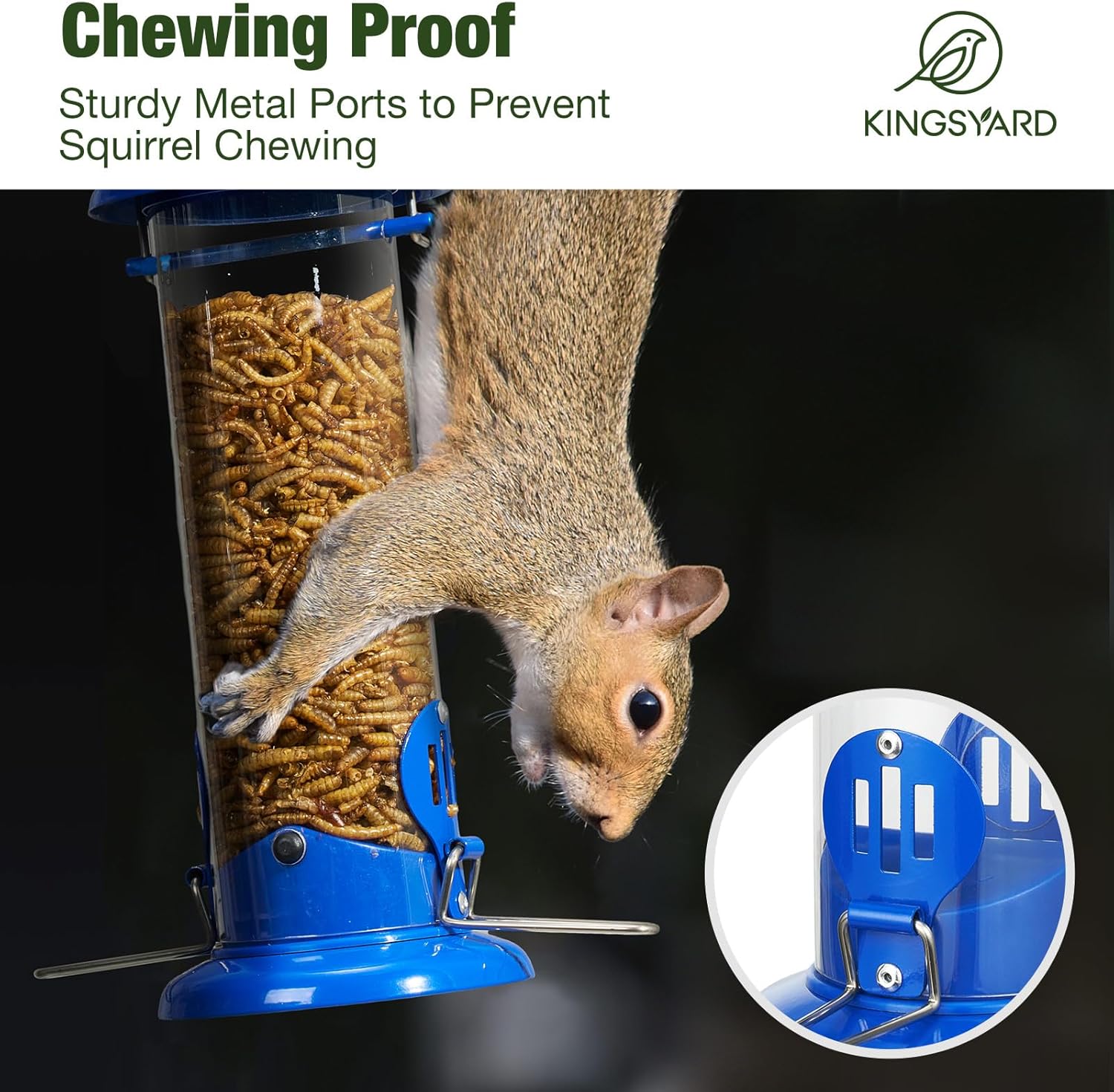 Upgraded Bluebird Feeder for Outdoors Hanging, Metal Mealworm Tube Bird Feeder with Widen Perch for Wild Birds, Squirrel Chew Proof, Easy to Refill & Clean(Blue) - Image 4