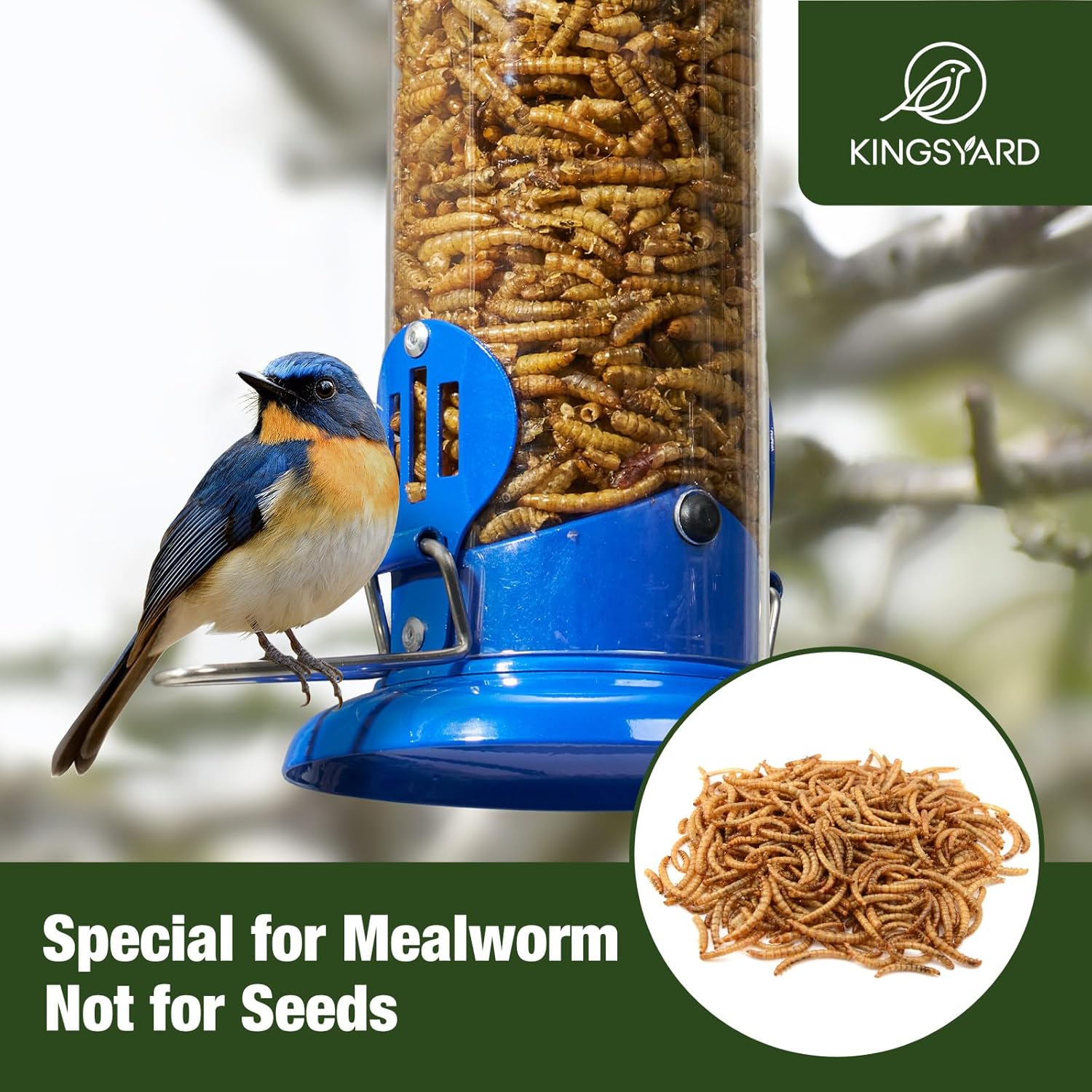 Upgraded Bluebird Feeder for Outdoors Hanging, Metal Mealworm Tube Bird Feeder with Widen Perch for Wild Birds, Squirrel Chew Proof, Easy to Refill & Clean(Blue) - Image 5