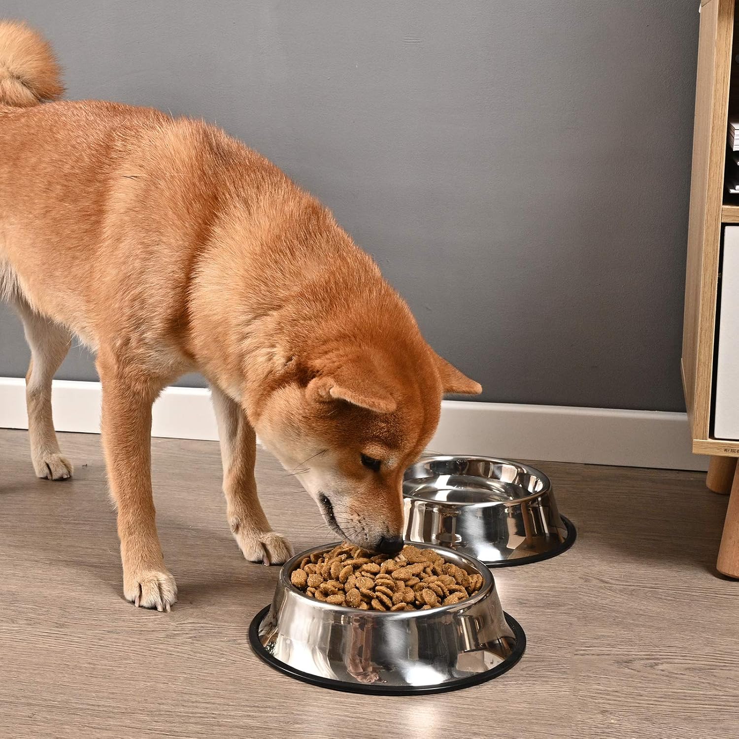 2Packs Stainless Steel Dog Bowl with Anti-Skid Rubber Base for Small/Medium/Large Pet, Perfect Dish, Pets Feeder Bowl and Water Bowl Perfect Choice for Dog Puppy Cat and Kitten (16oz) - Image 6